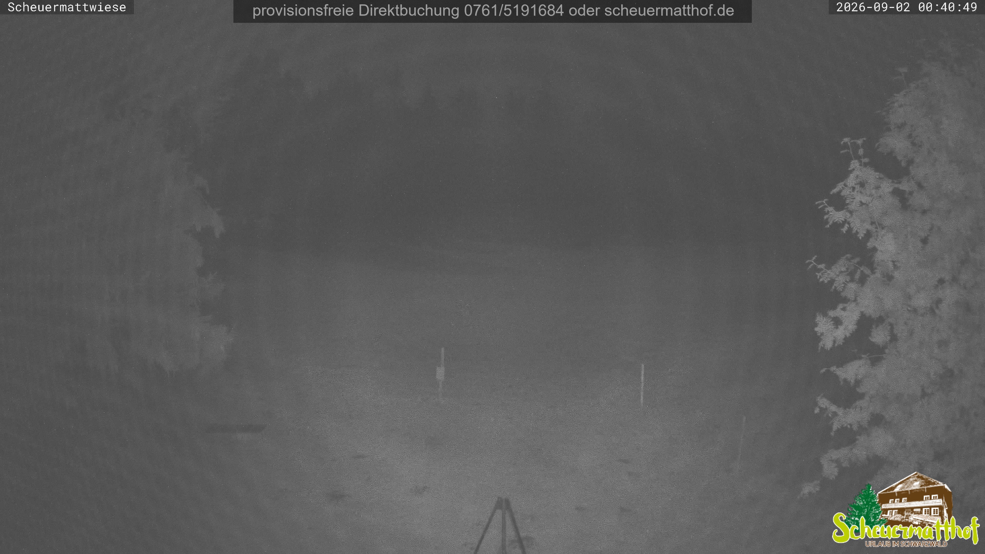 Archiv Foto Webcam Todtnauberg - Scheuermattwiese