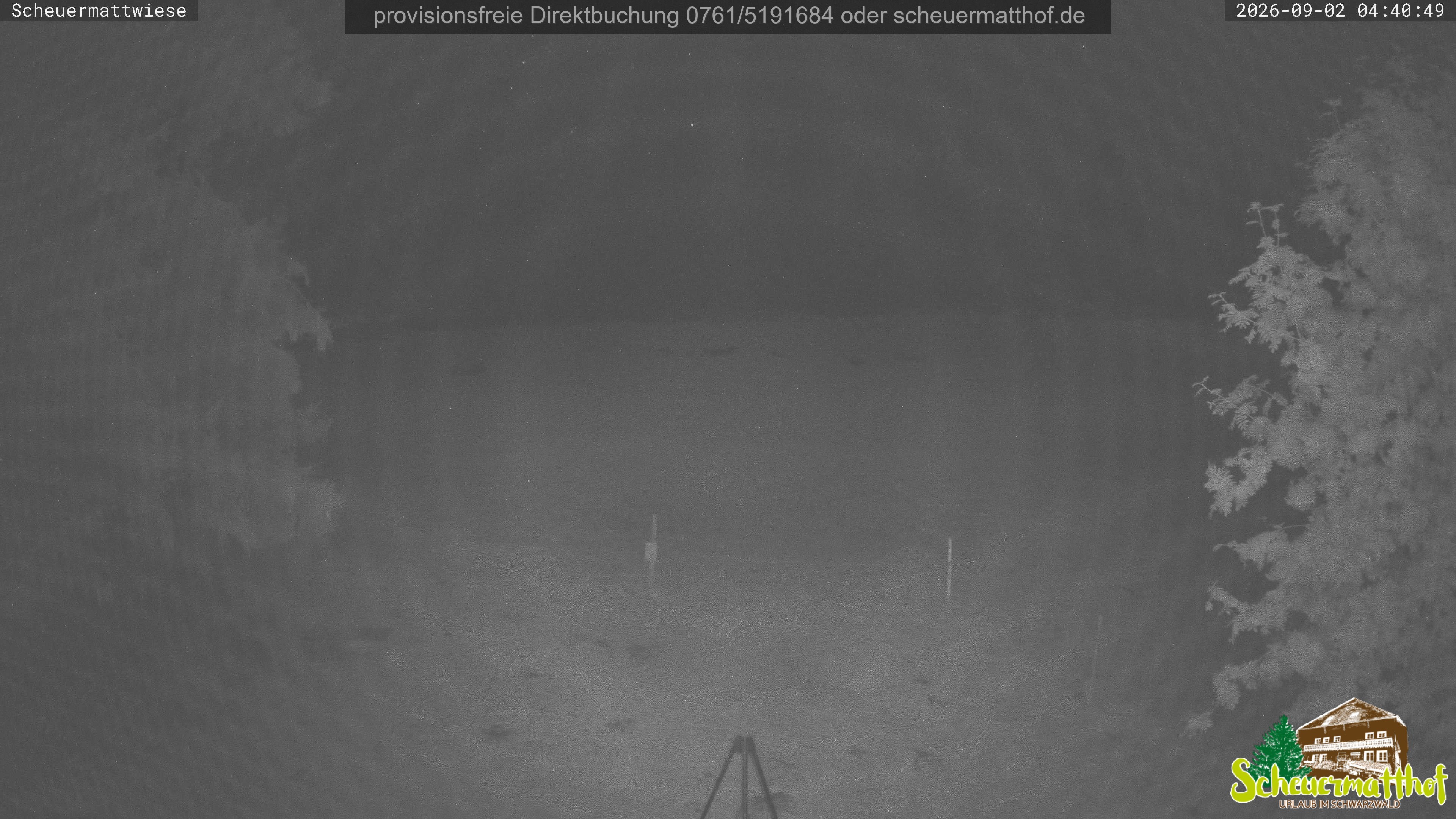 Archiv Foto Webcam Todtnauberg - Scheuermattwiese