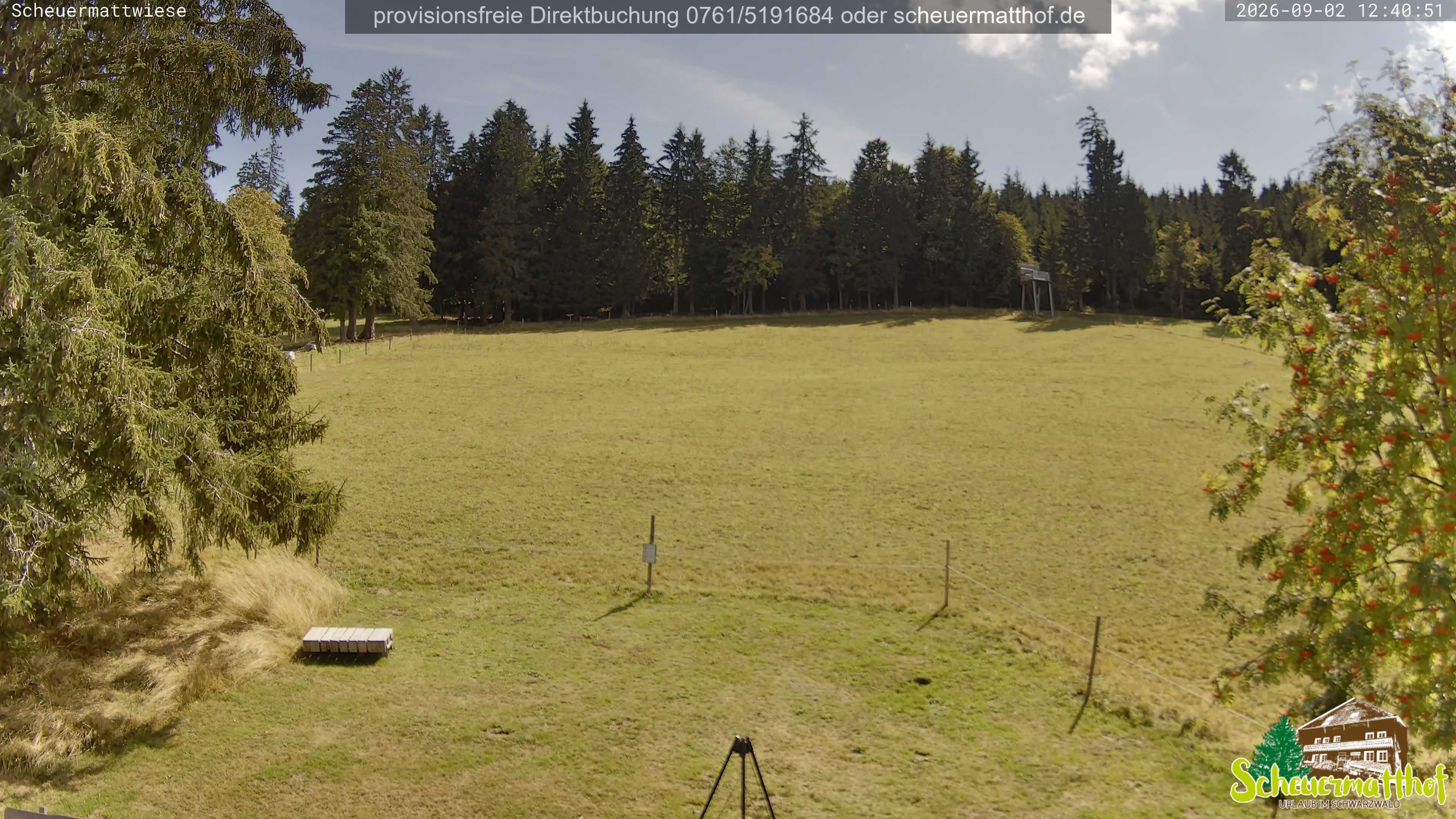 Archiv Foto Webcam Todtnauberg - Scheuermattwiese