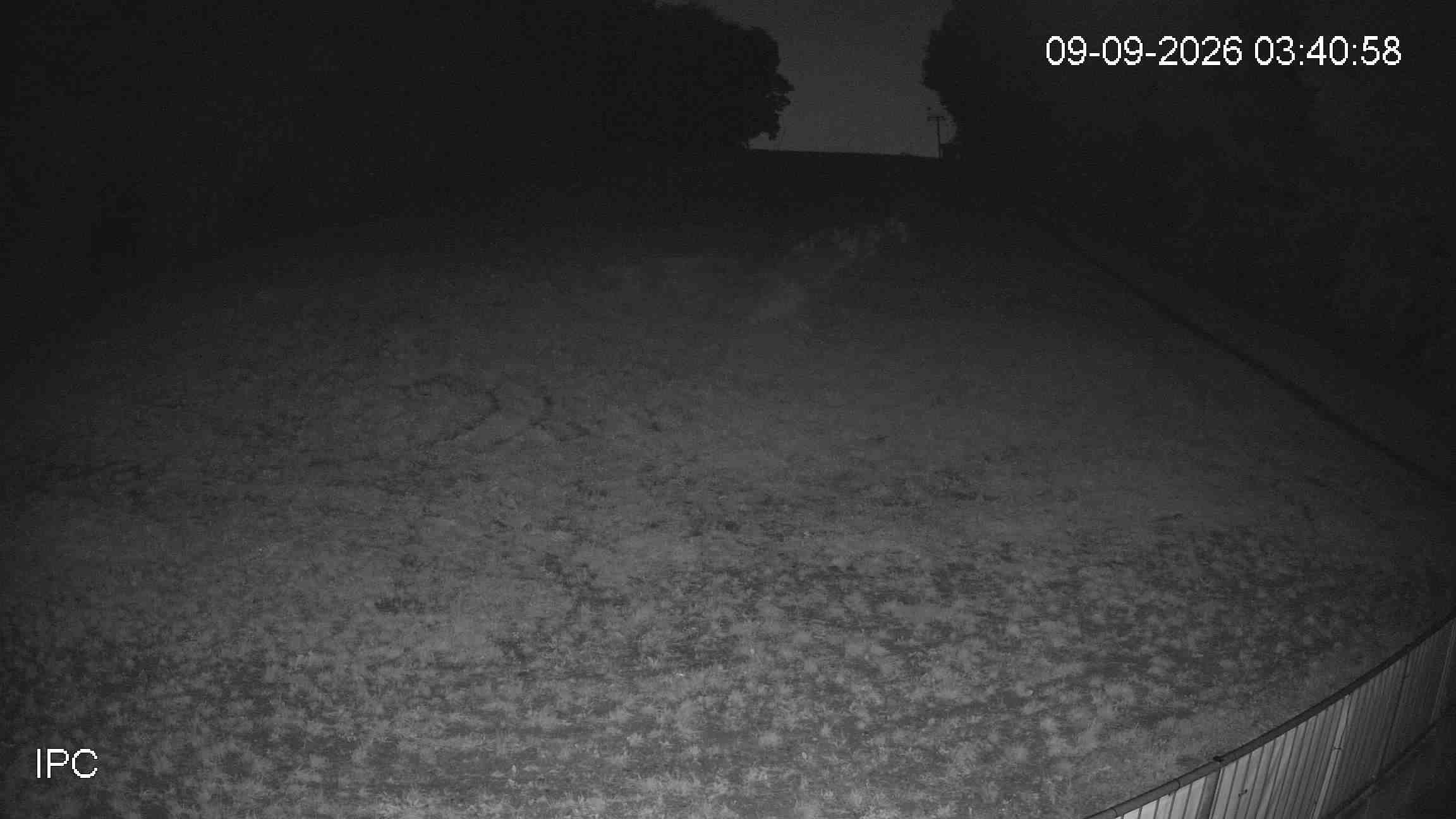 Archiv Foto Webcam Schorrberg in Bad Marienberg, Westerwald