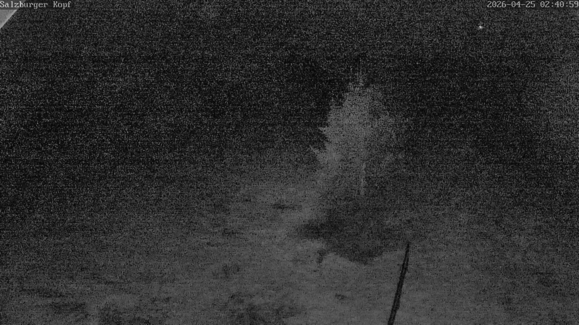 Archived image Webcam Salzburger Kopf - Ski lifts