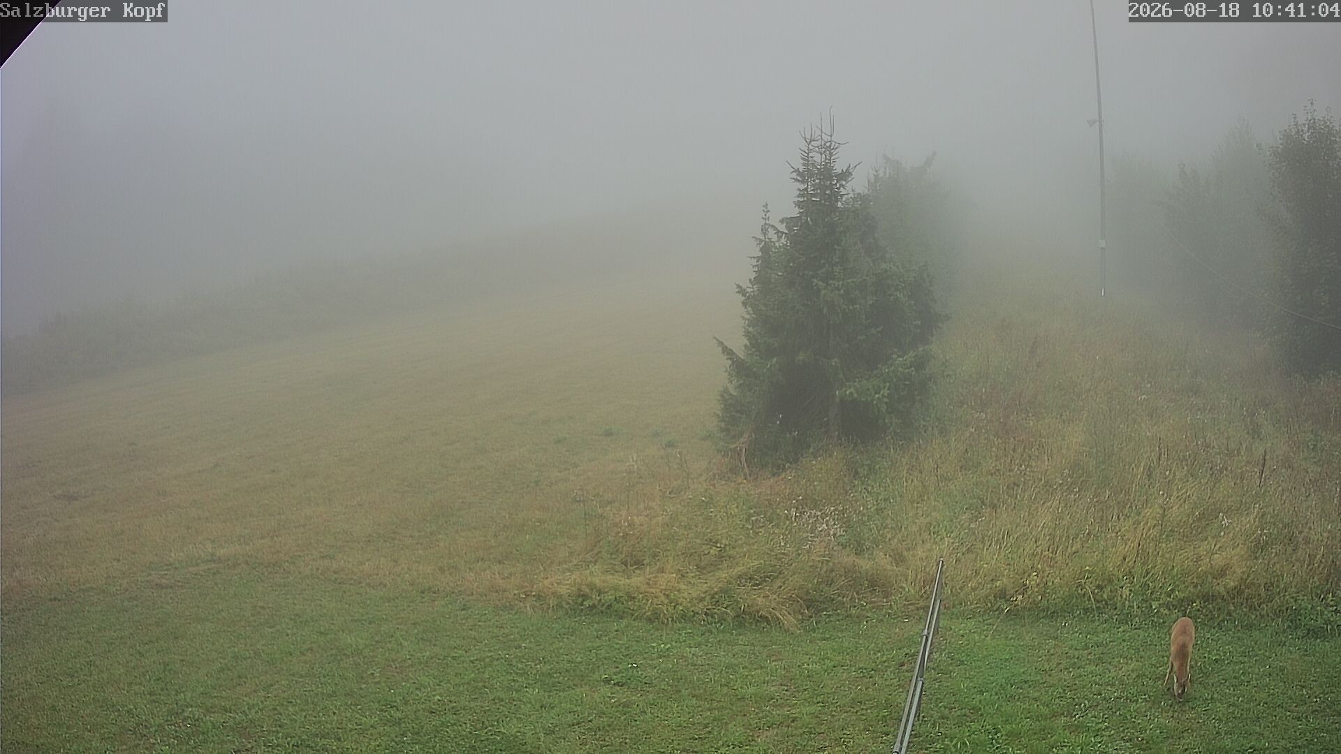 Archiv Foto Webcam Salzburger Kopf: Skipiste