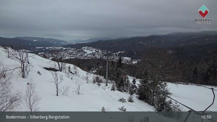 Archiv Foto Webcam Bodenmais: Sessellift Silberberg