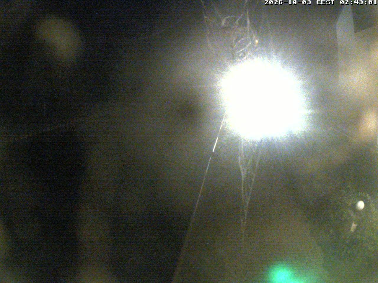 Archived image Webcam Canal Müritz - Claassee
