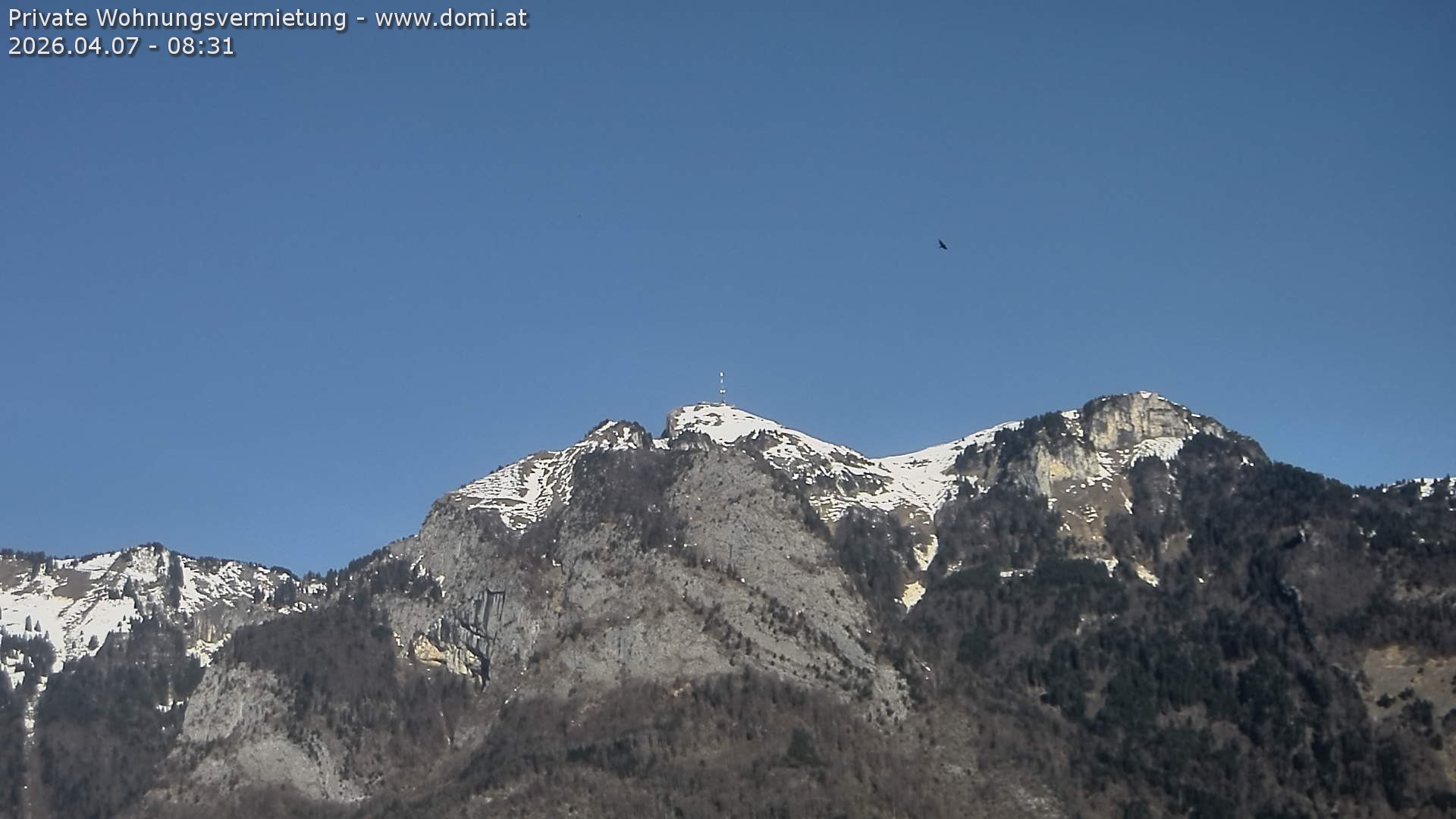 Archived image Webcam View of the Hoher Kasten from Bangs, Feldkirch