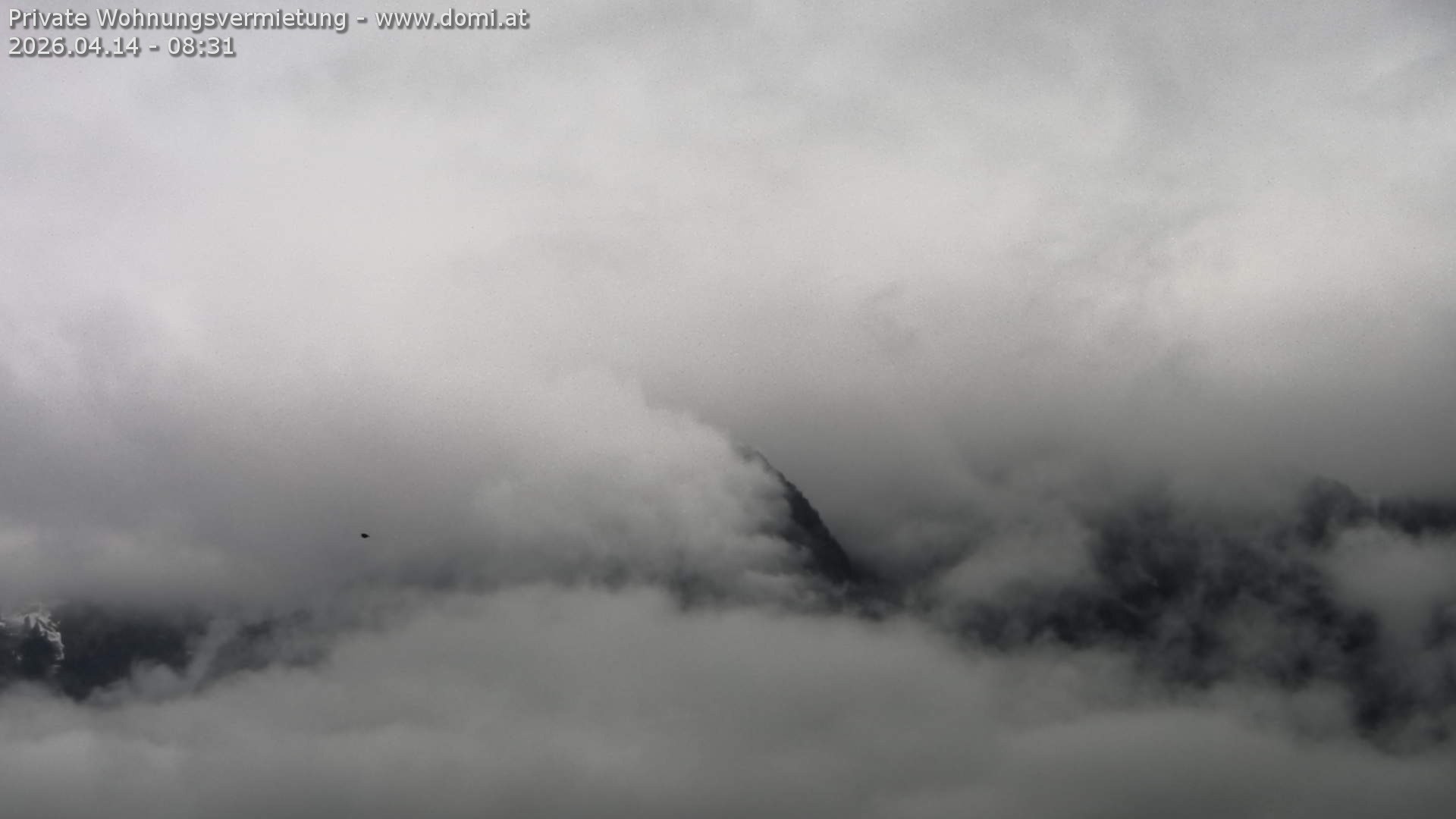 Archiv Foto Webcam Blick von Bangs, Feldkirch auf den Hohen Kasten