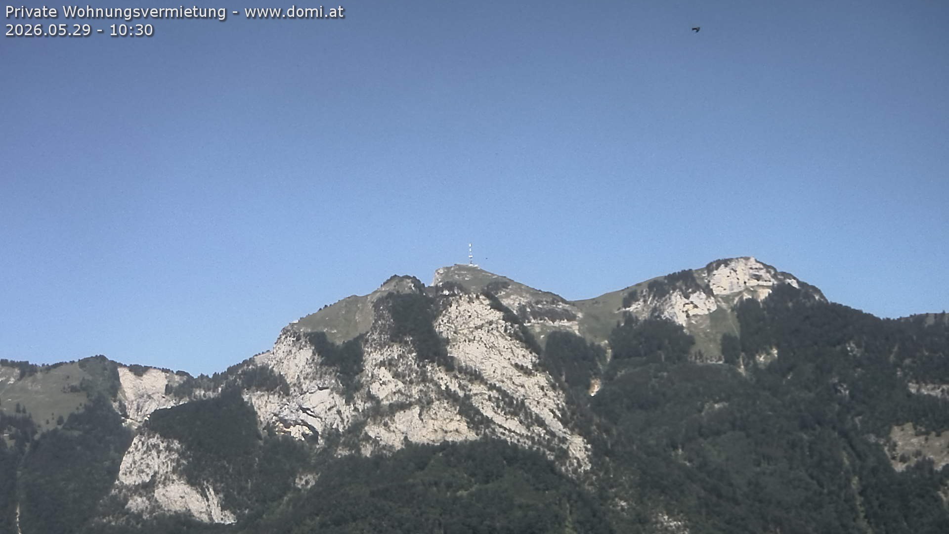 Archiv Foto Webcam Blick von Bangs, Feldkirch auf den Hohen Kasten