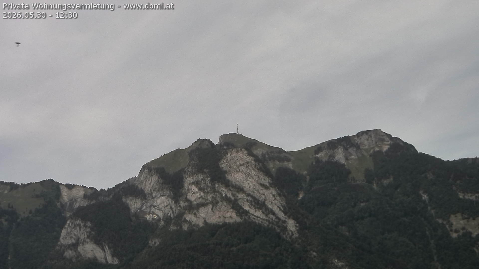 Archiv Foto Webcam Blick von Bangs, Feldkirch auf den Hohen Kasten