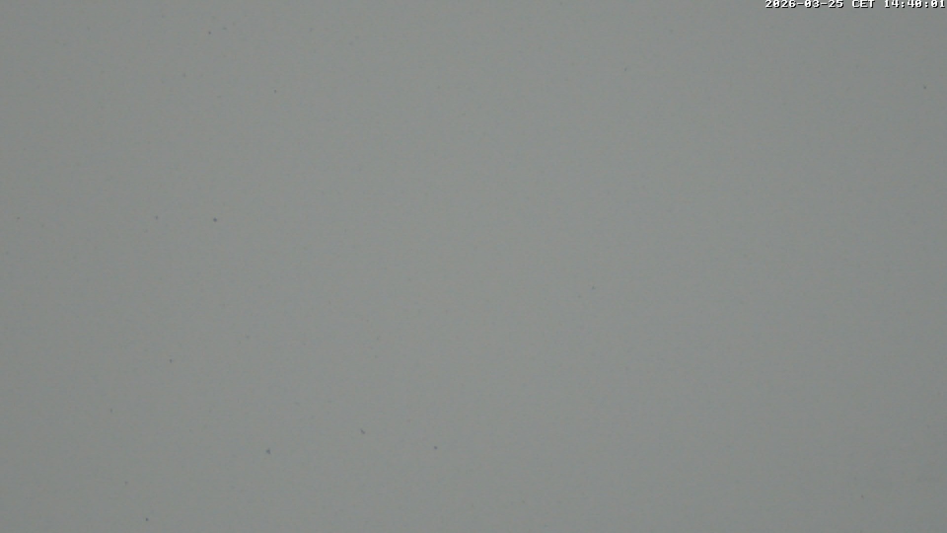 Archiv Foto Webcam Glacier 3000: Scex Rouge Alpine Coaster