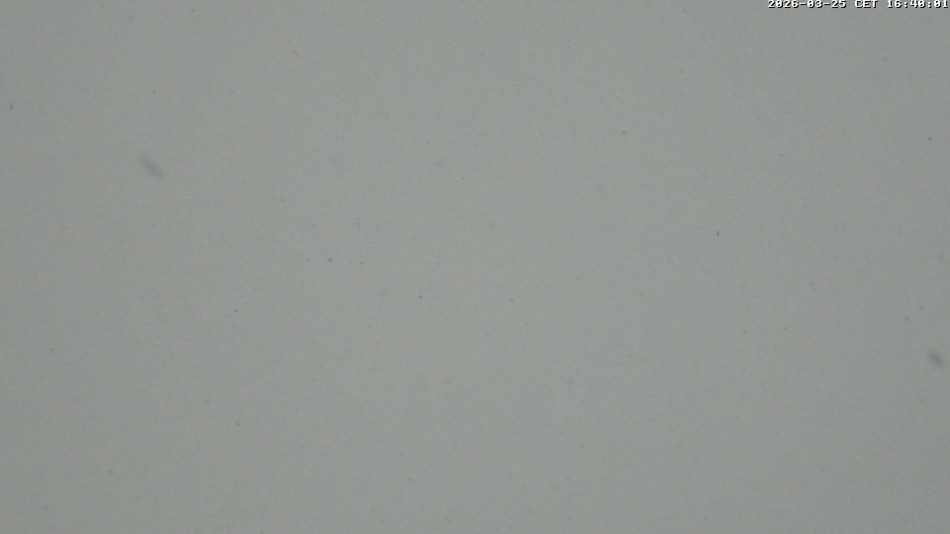 Archiv Foto Webcam Glacier 3000: Scex Rouge Alpine Coaster