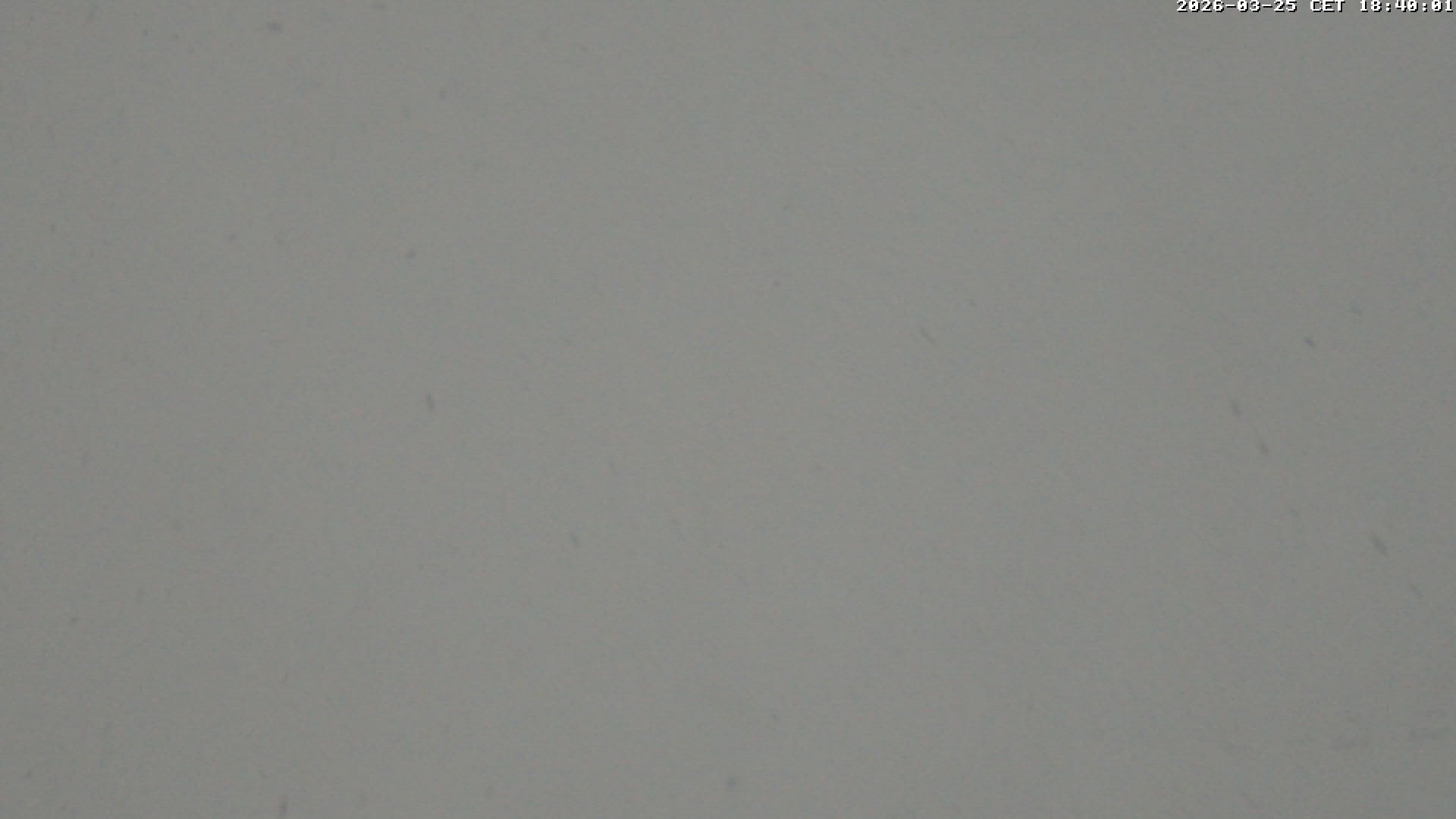 Archiv Foto Webcam Glacier 3000: Scex Rouge Alpine Coaster