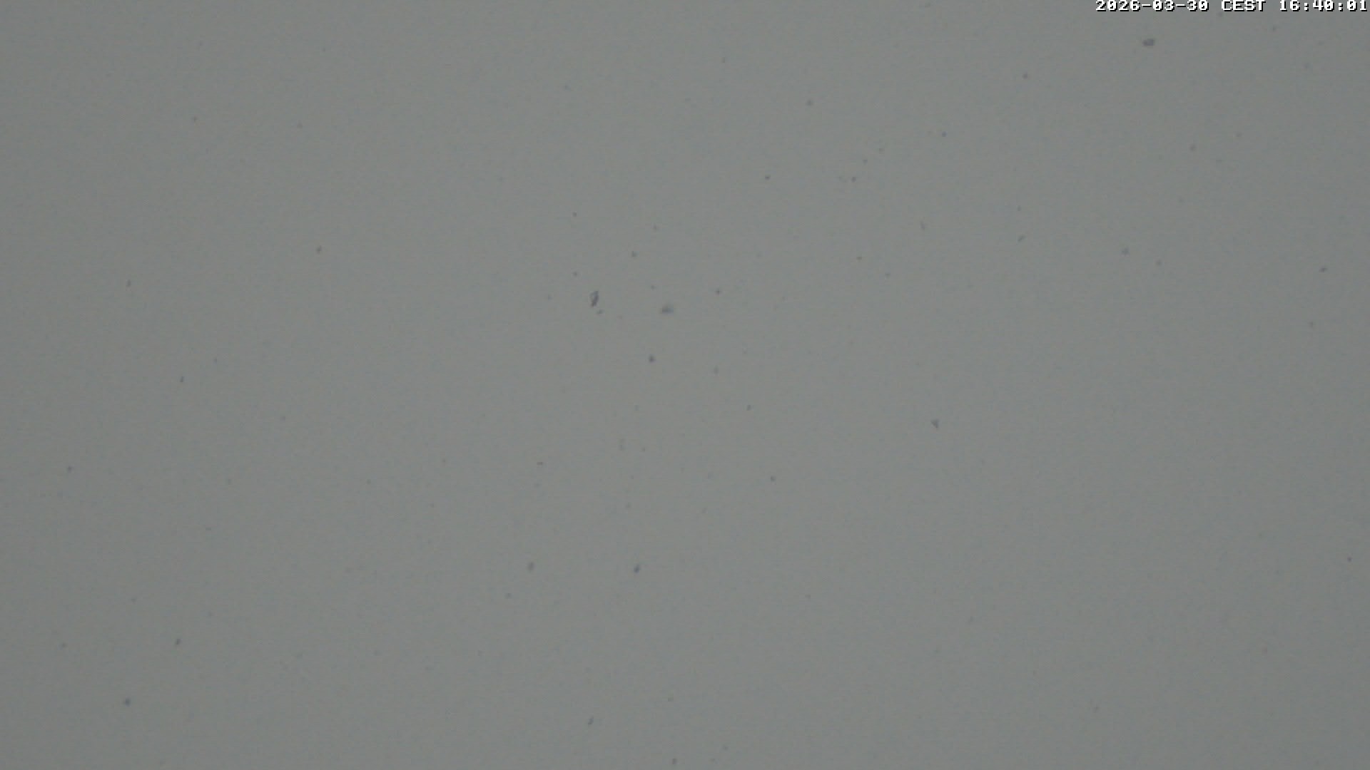 Archiv Foto Webcam Glacier 3000: Scex Rouge Alpine Coaster