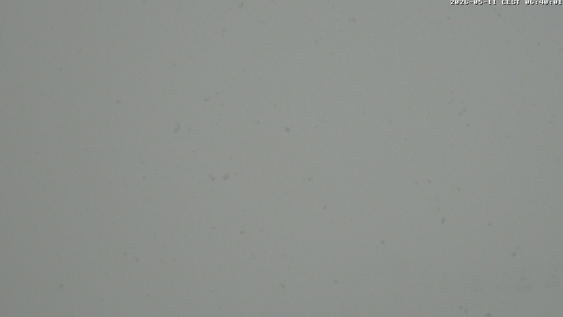 Archiv Foto Webcam Glacier 3000: Scex Rouge Alpine Coaster