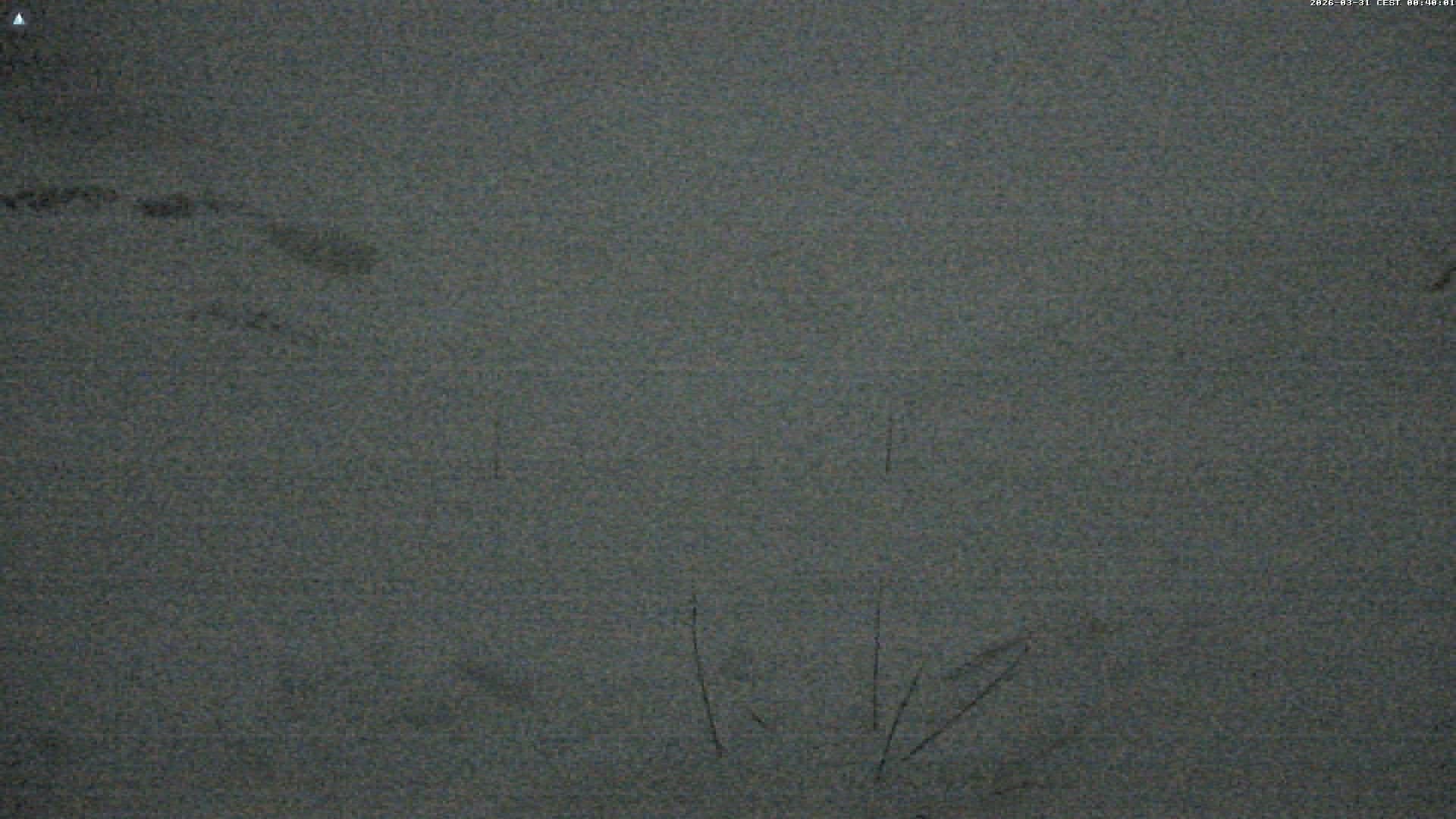 Archiv Foto Webcam Glacier 3000 Oldenalp – Oldenegg