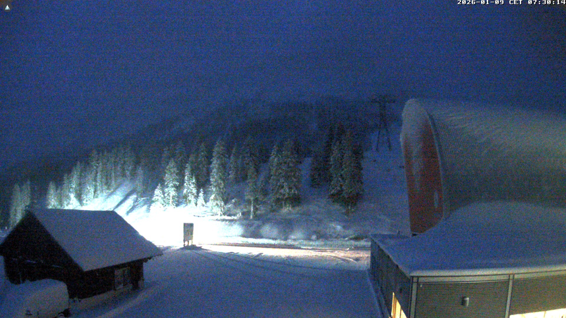 Archived image Webcam Glacier 3000: Col du Pillon