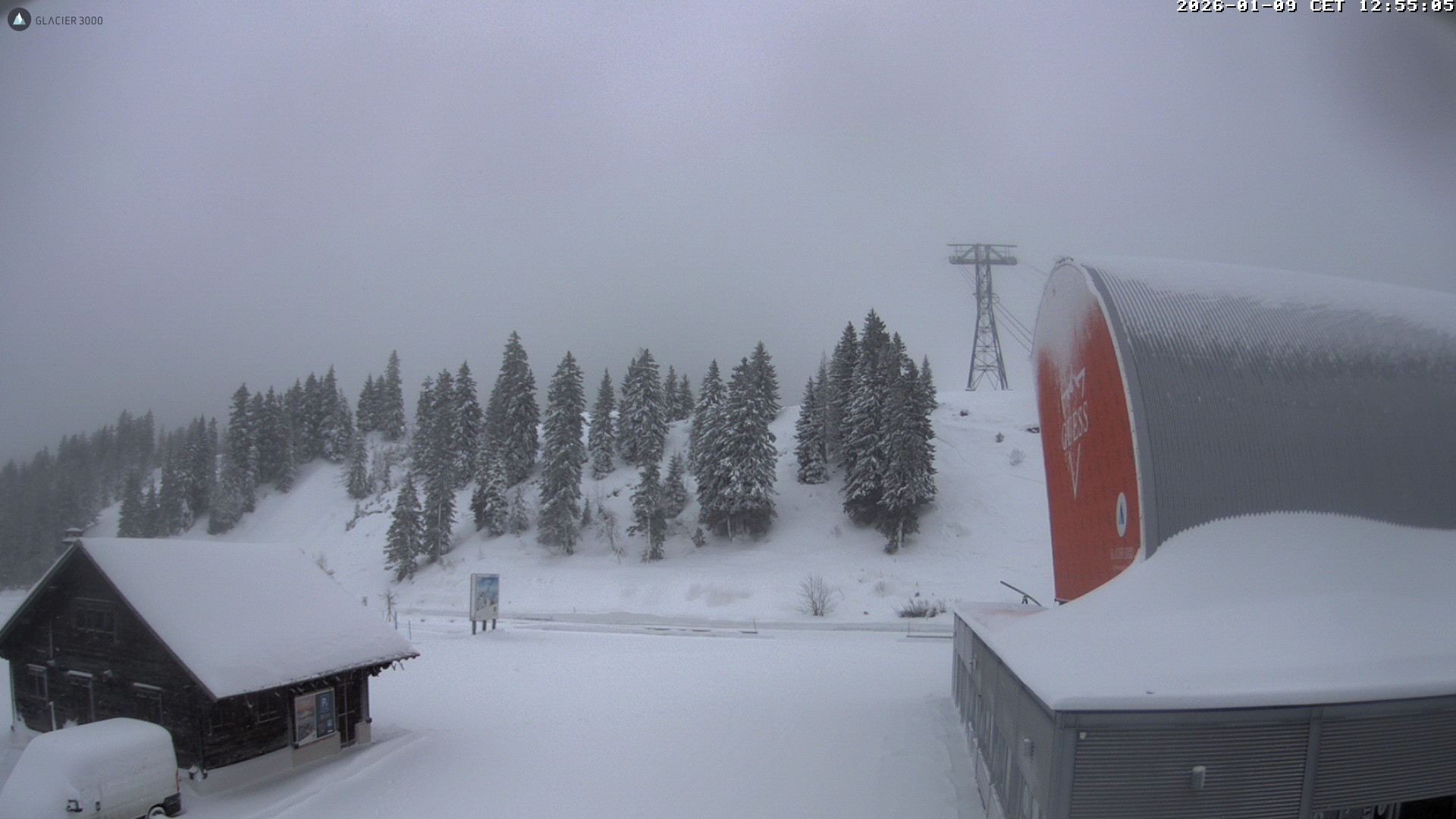 Archiv Foto Webcam Glacier 3000: Col du Pillon Talstation