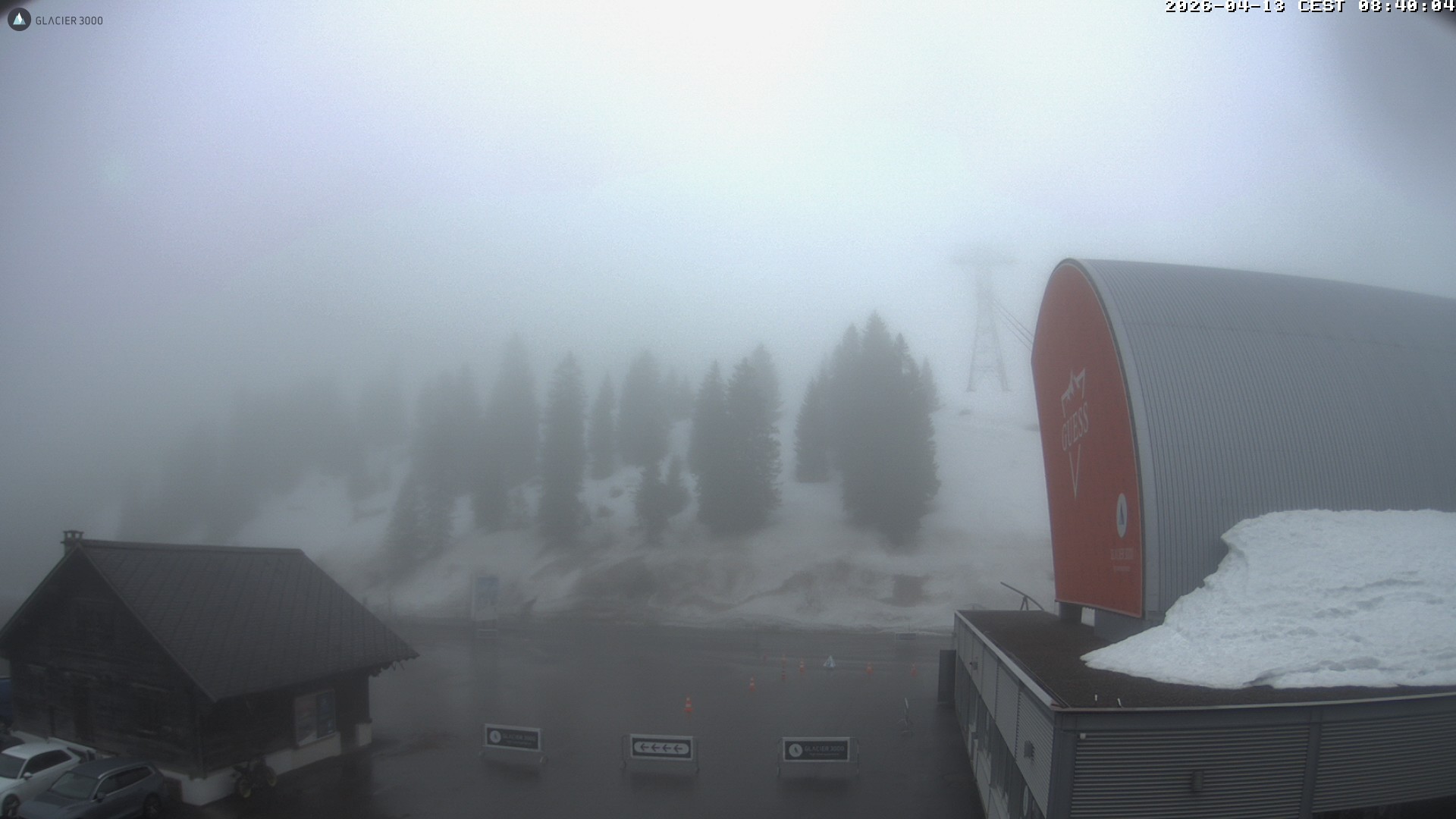 Archiv Foto Webcam Glacier 3000: Col du Pillon Talstation