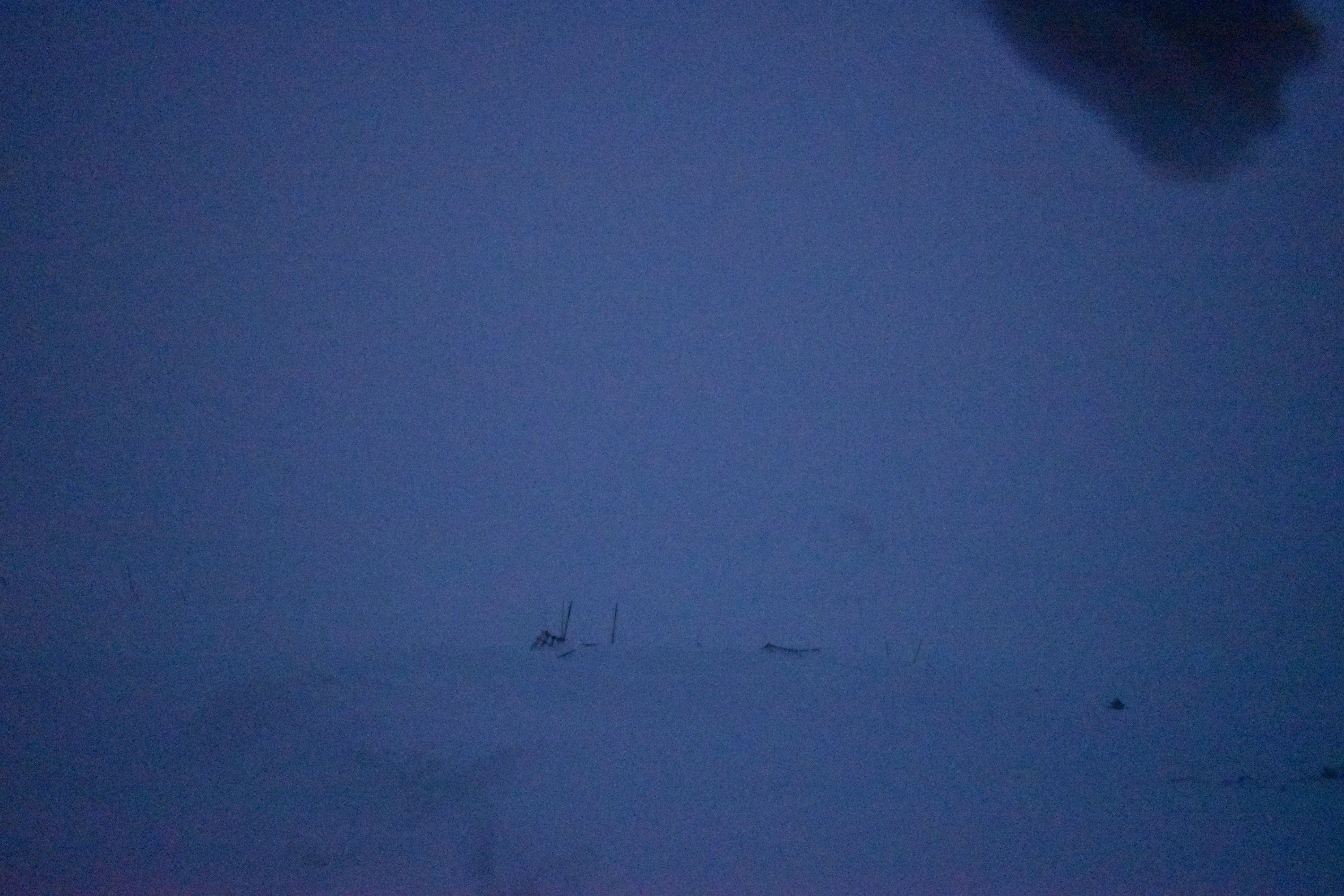 Archiv Foto Webcam Glacier 3000: Black Wall am Gemskopf