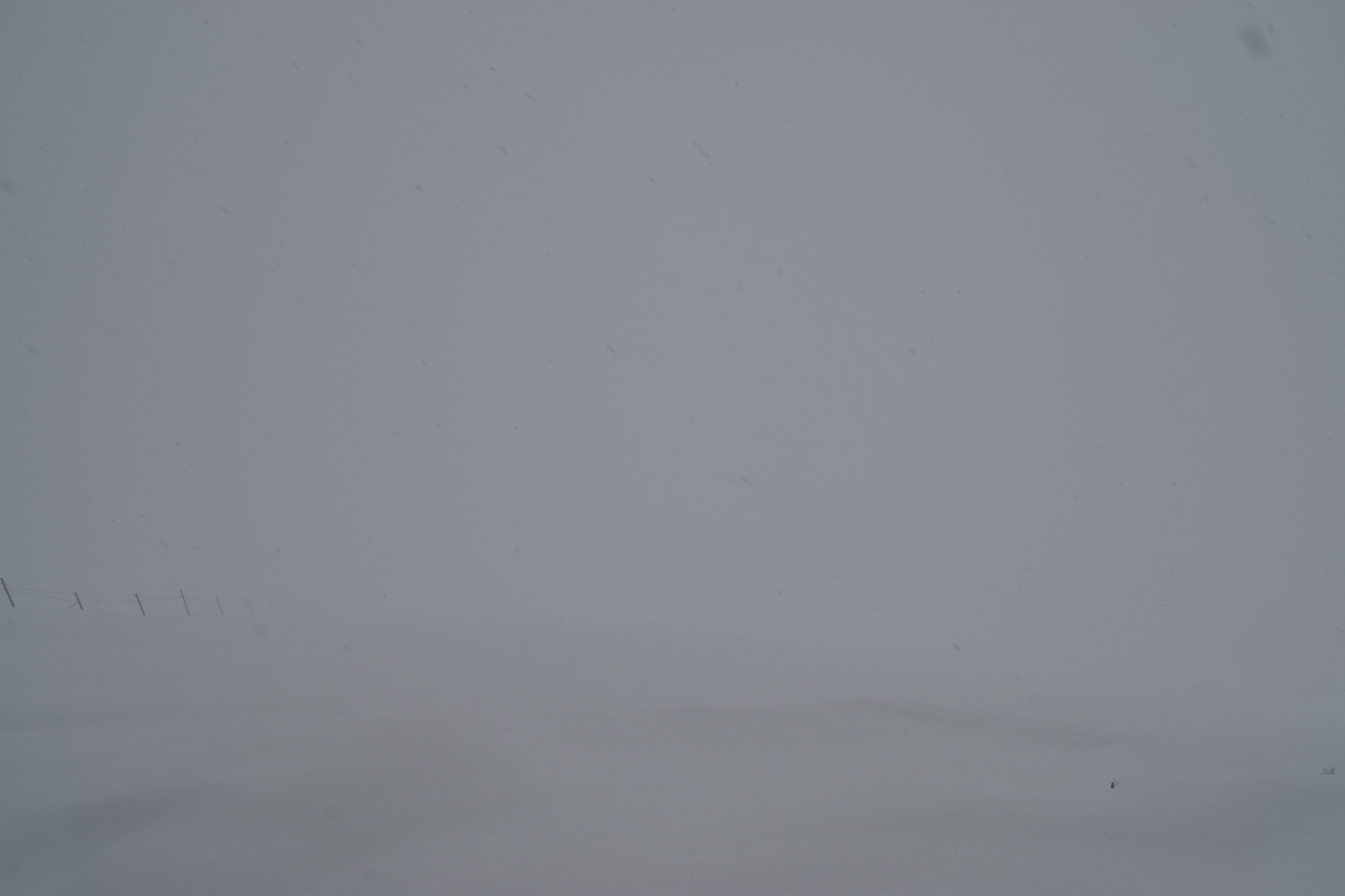 Archiv Foto Webcam Glacier 3000: Black Wall am Gemskopf