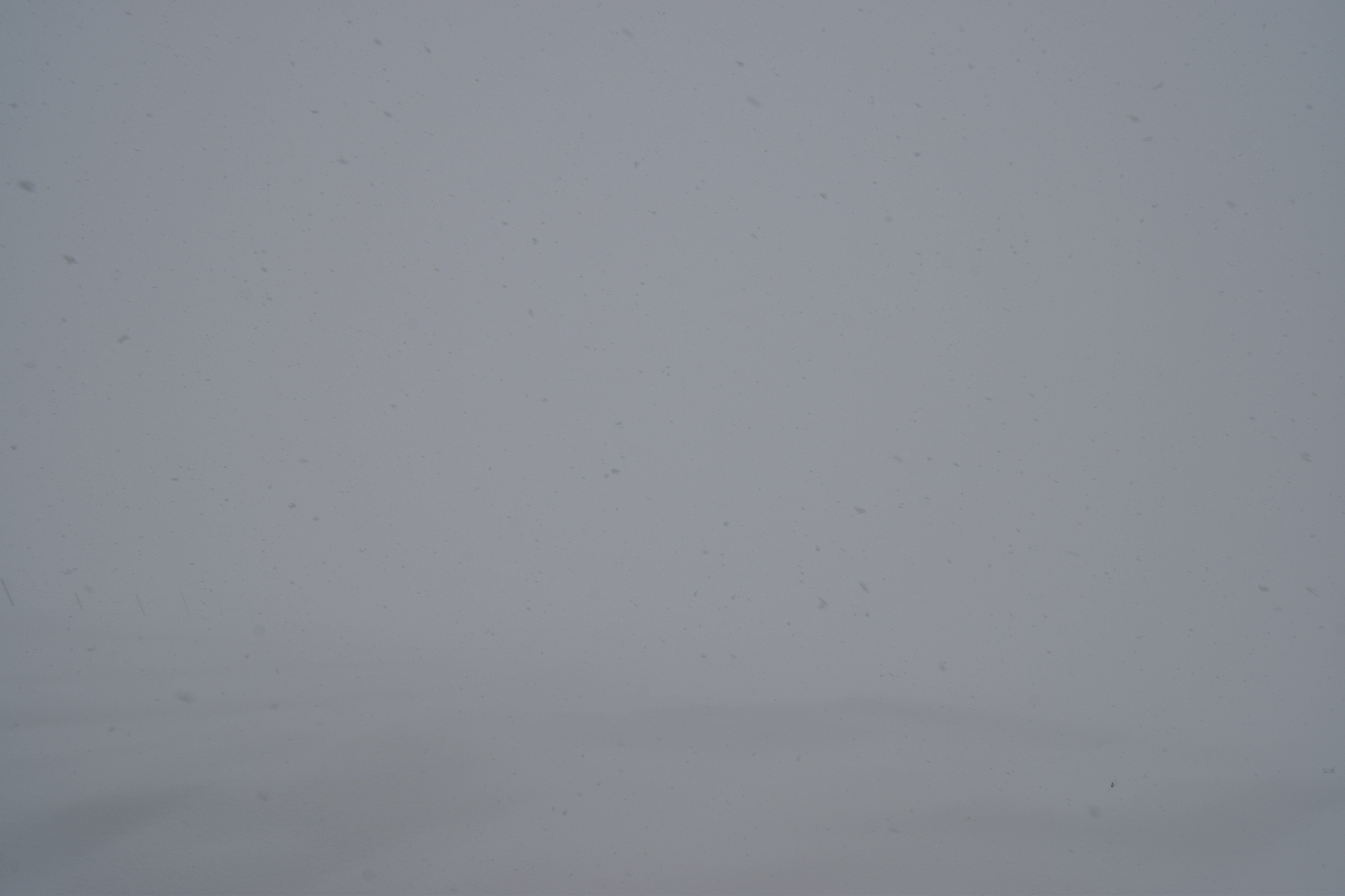 Archiv Foto Webcam Glacier 3000: Black Wall am Gemskopf