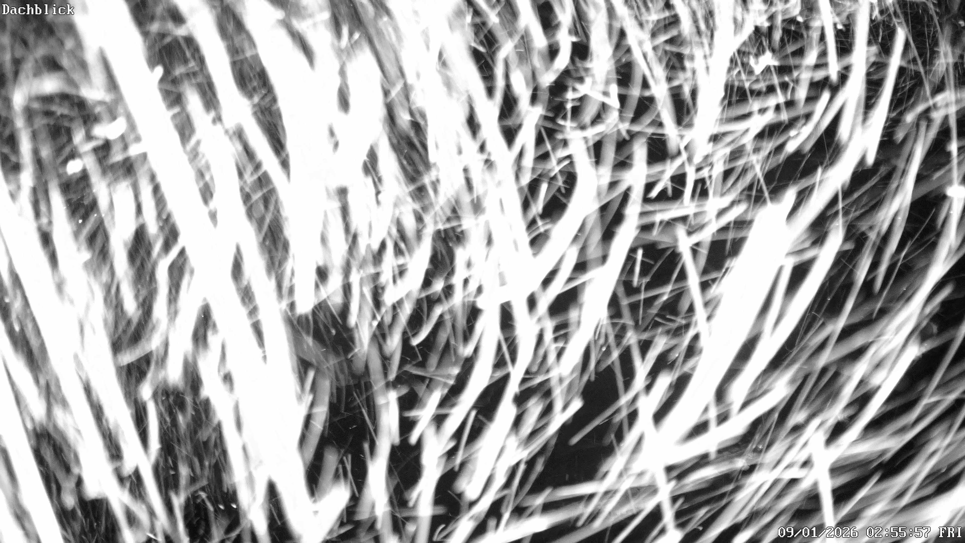 Archiv Foto Webcam Bad Lauterberg: Panoramic Hotel Harz