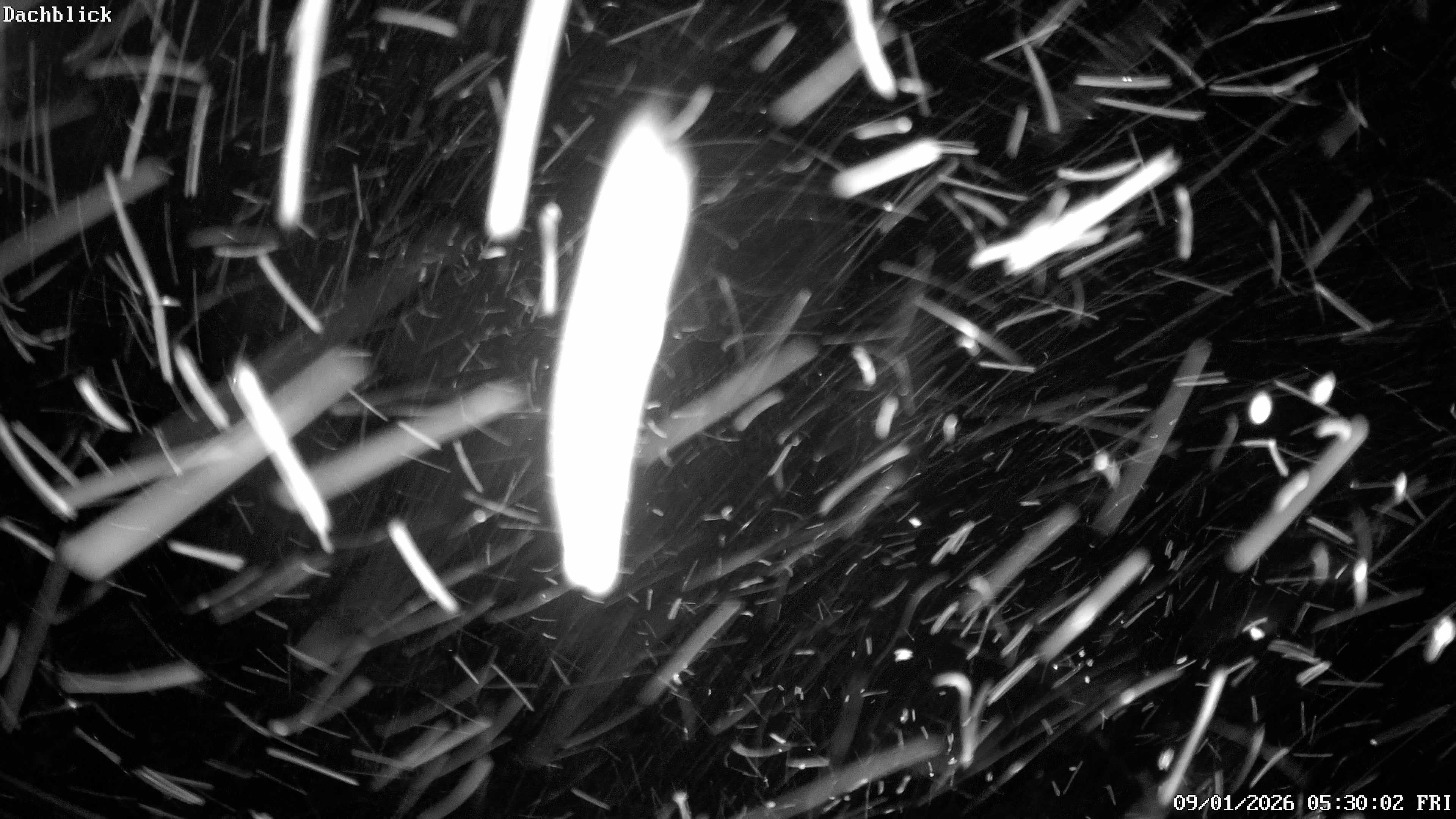 Archiv Foto Webcam Bad Lauterberg: Panoramic Hotel Harz