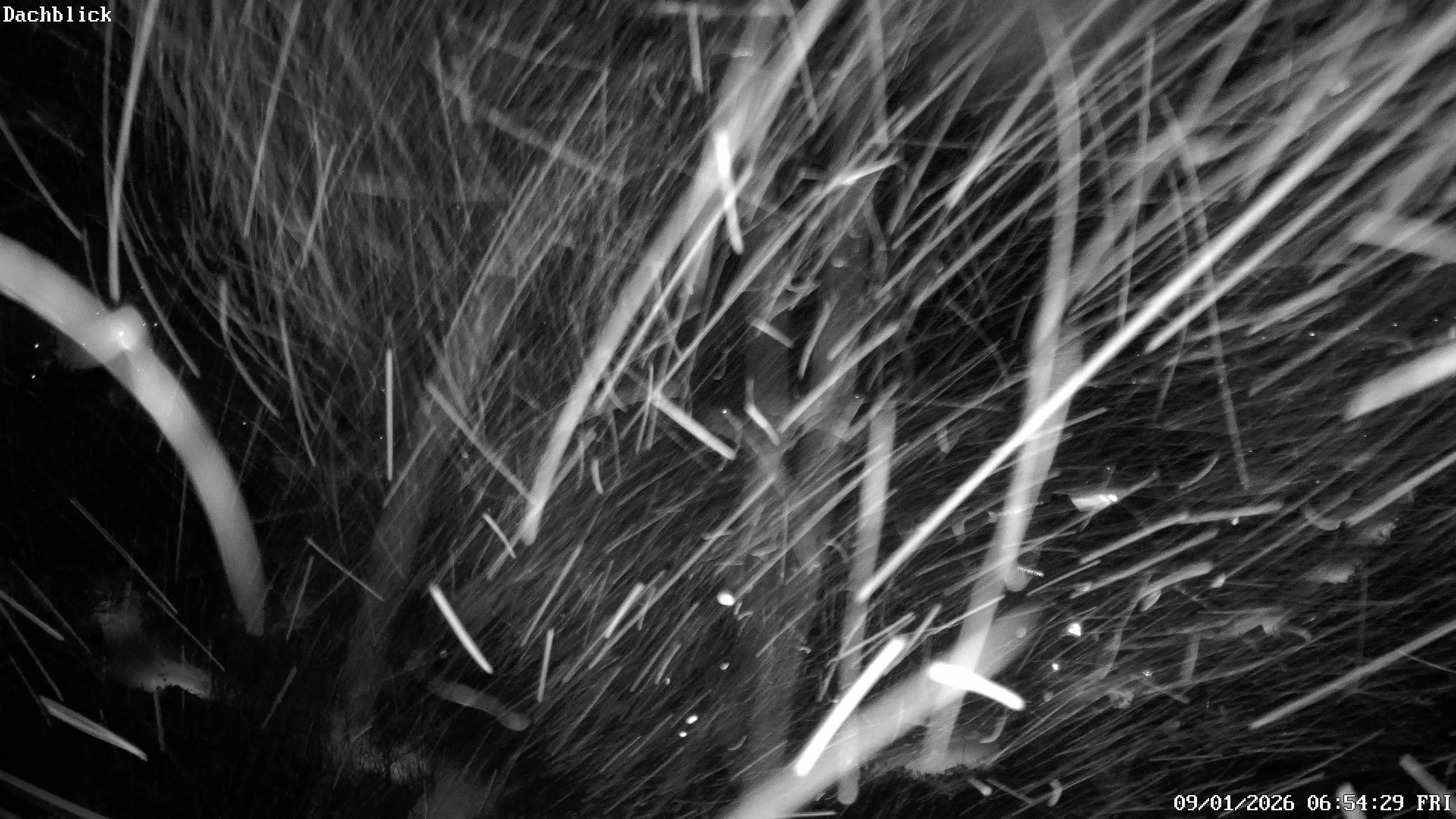 Archiv Foto Webcam Bad Lauterberg: Panoramic Hotel Harz