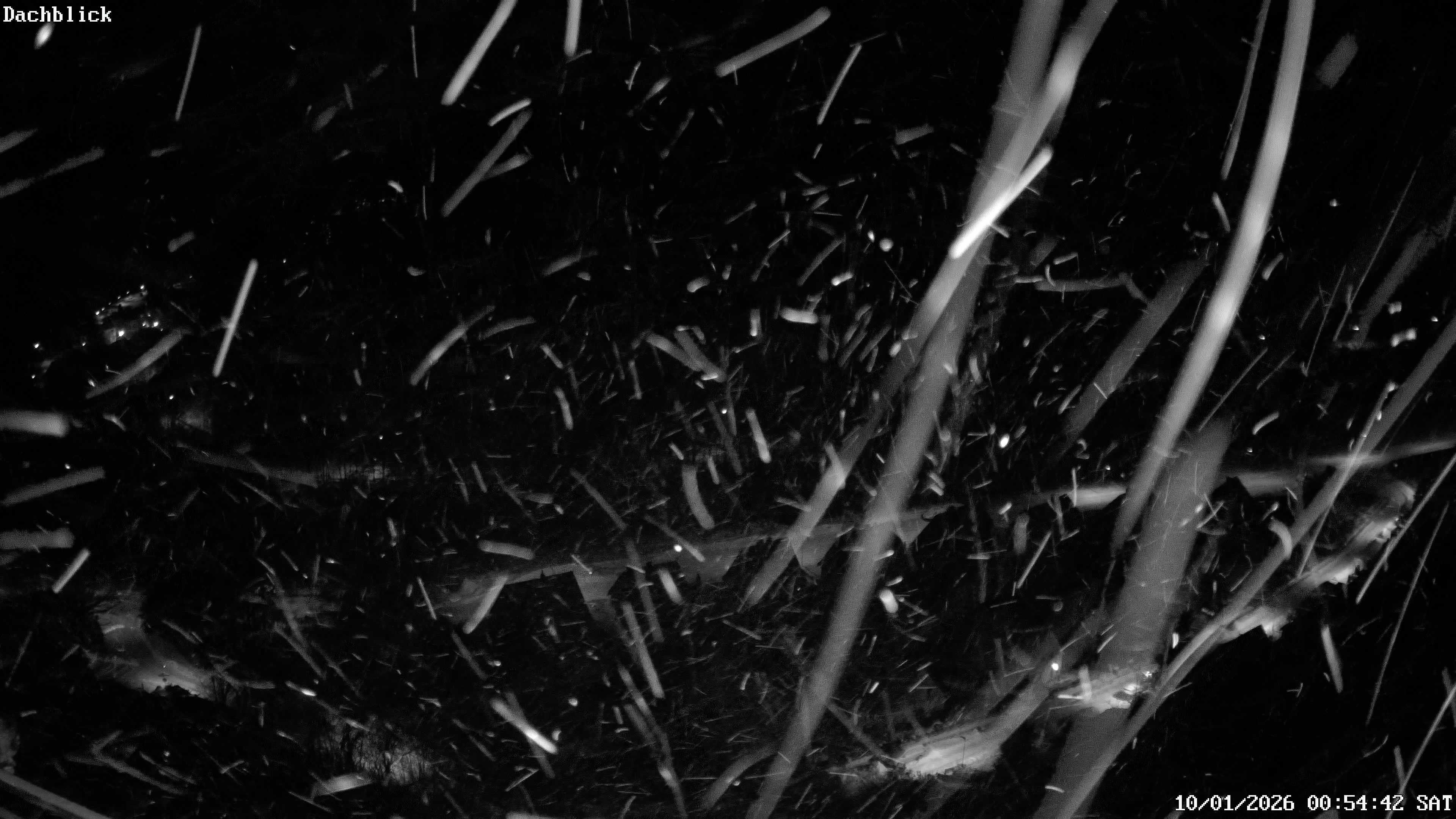 Archiv Foto Webcam Bad Lauterberg: Panoramic Hotel Harz