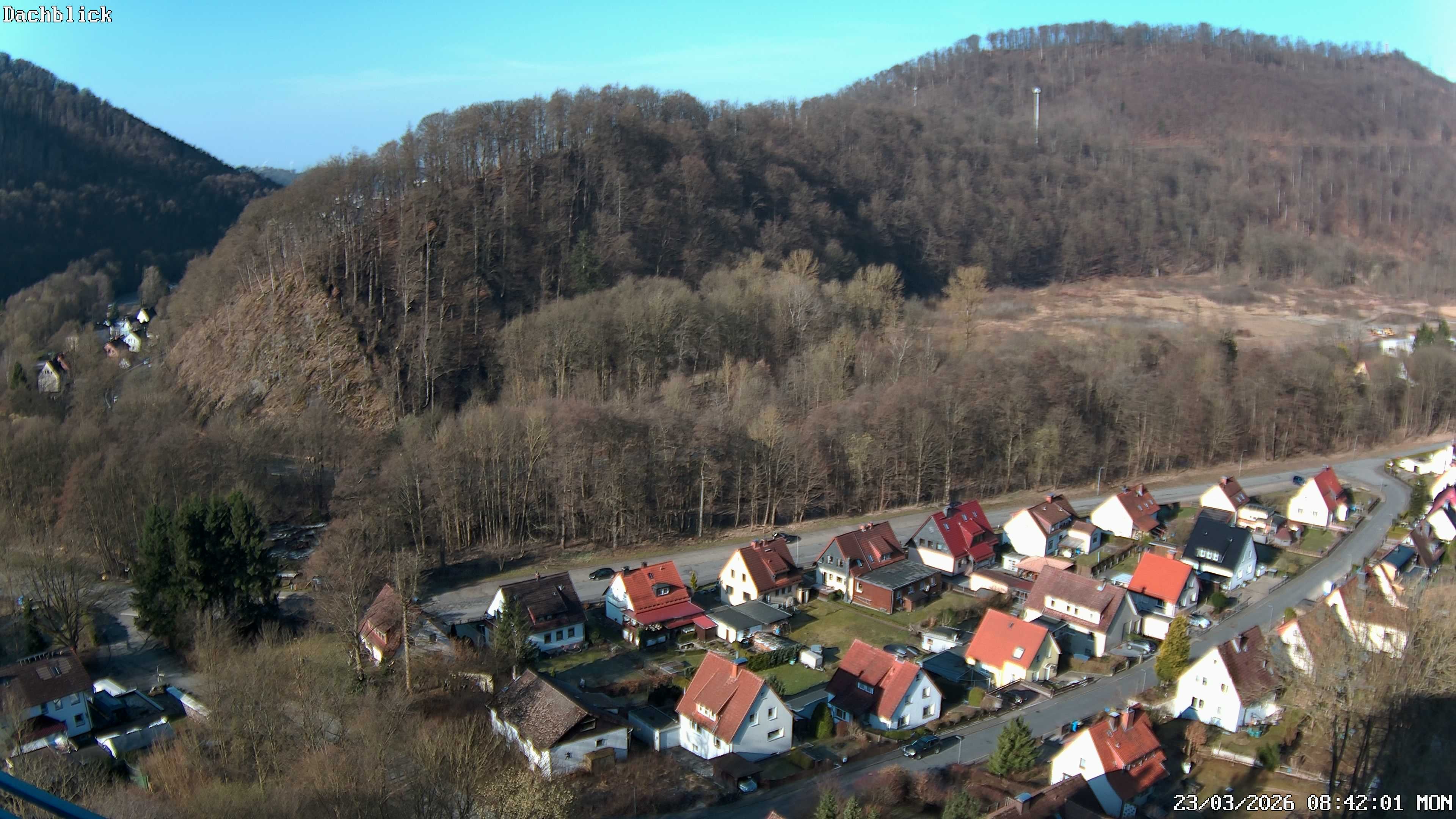 Archiv Foto Webcam Bad Lauterberg: Panoramic Hotel Harz