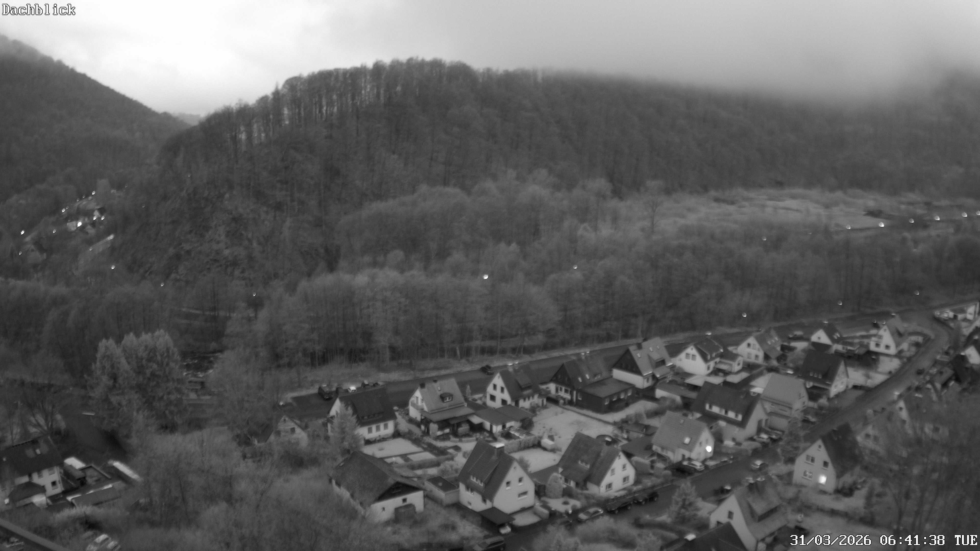 Archiv Foto Webcam Bad Lauterberg: Panoramic Hotel Harz