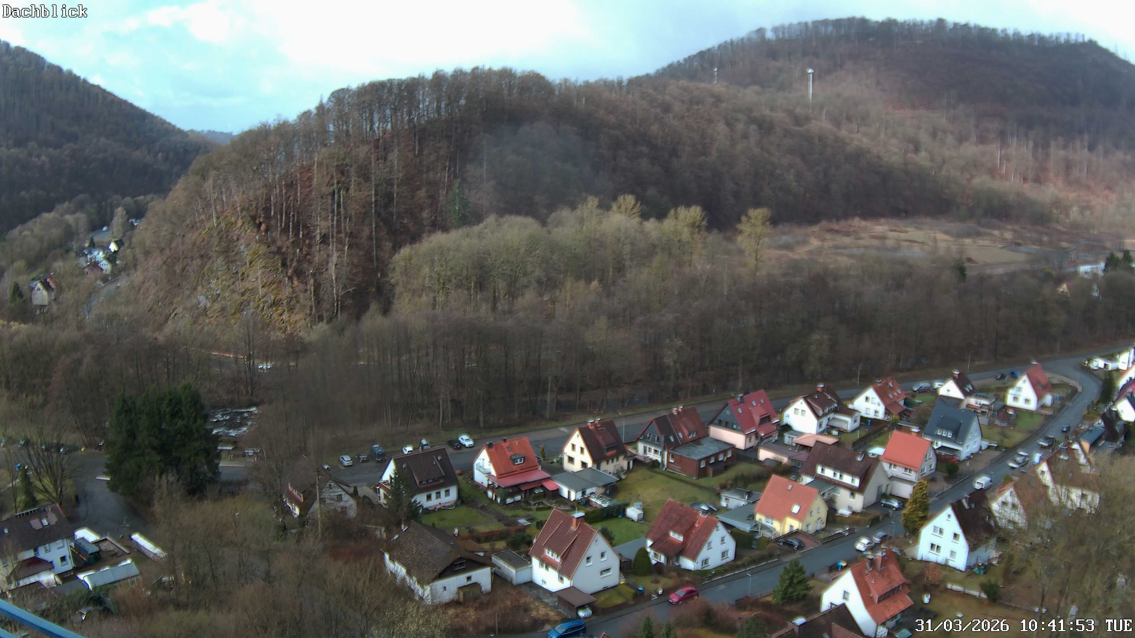 Archiv Foto Webcam Bad Lauterberg: Panoramic Hotel Harz