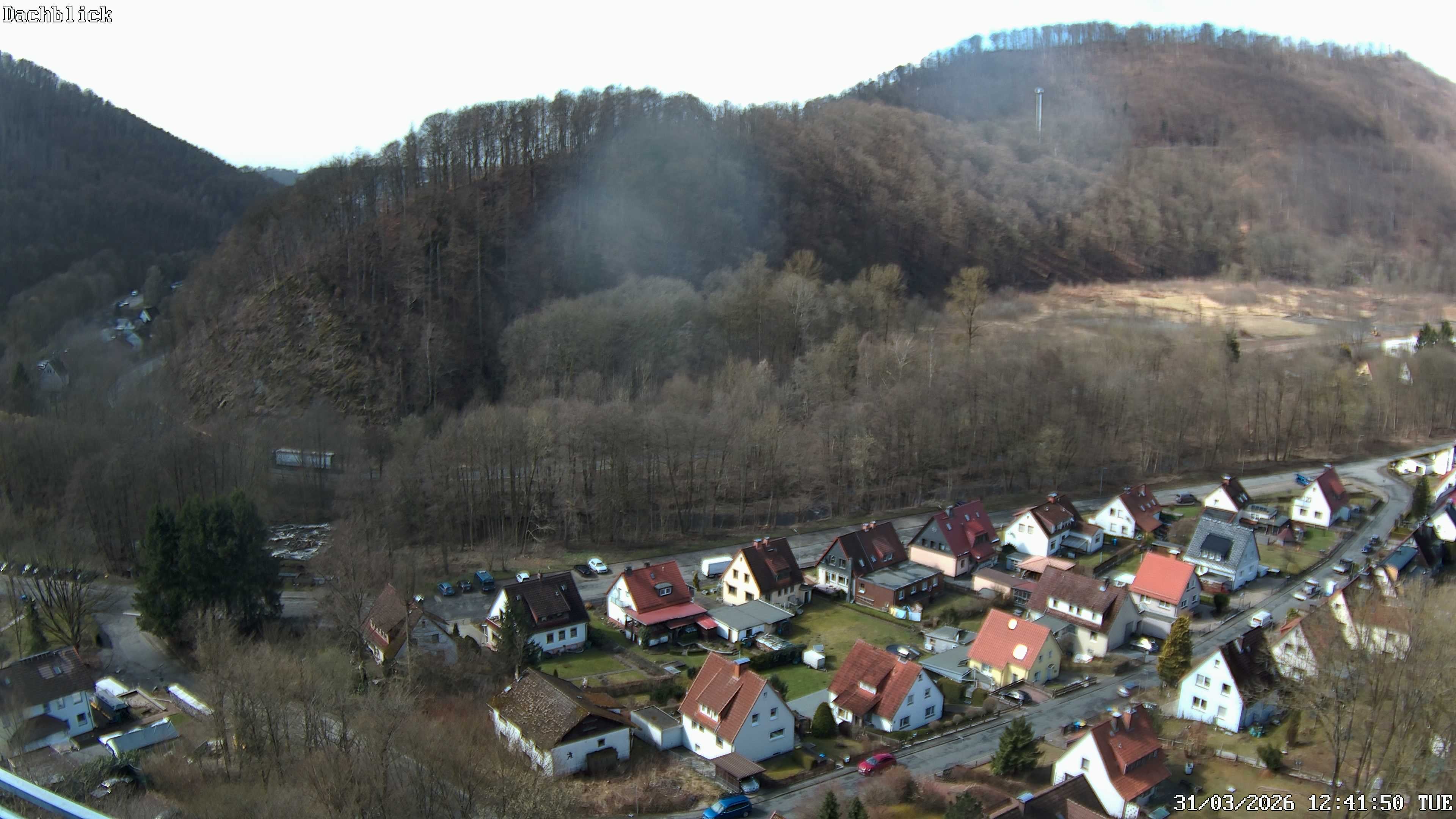 Archiv Foto Webcam Bad Lauterberg: Panoramic Hotel Harz