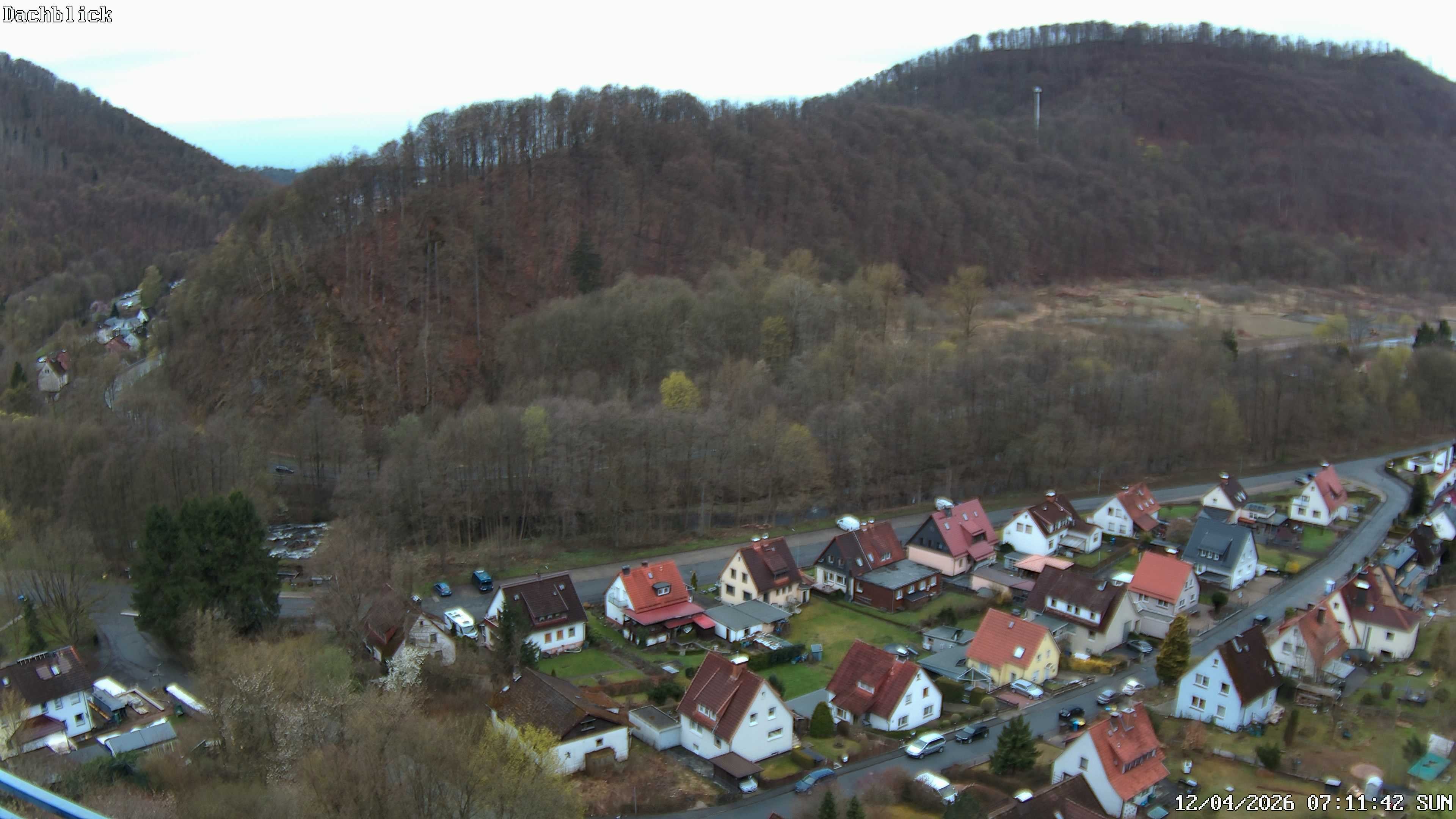 Archiv Foto Webcam Bad Lauterberg: Panoramic Hotel Harz