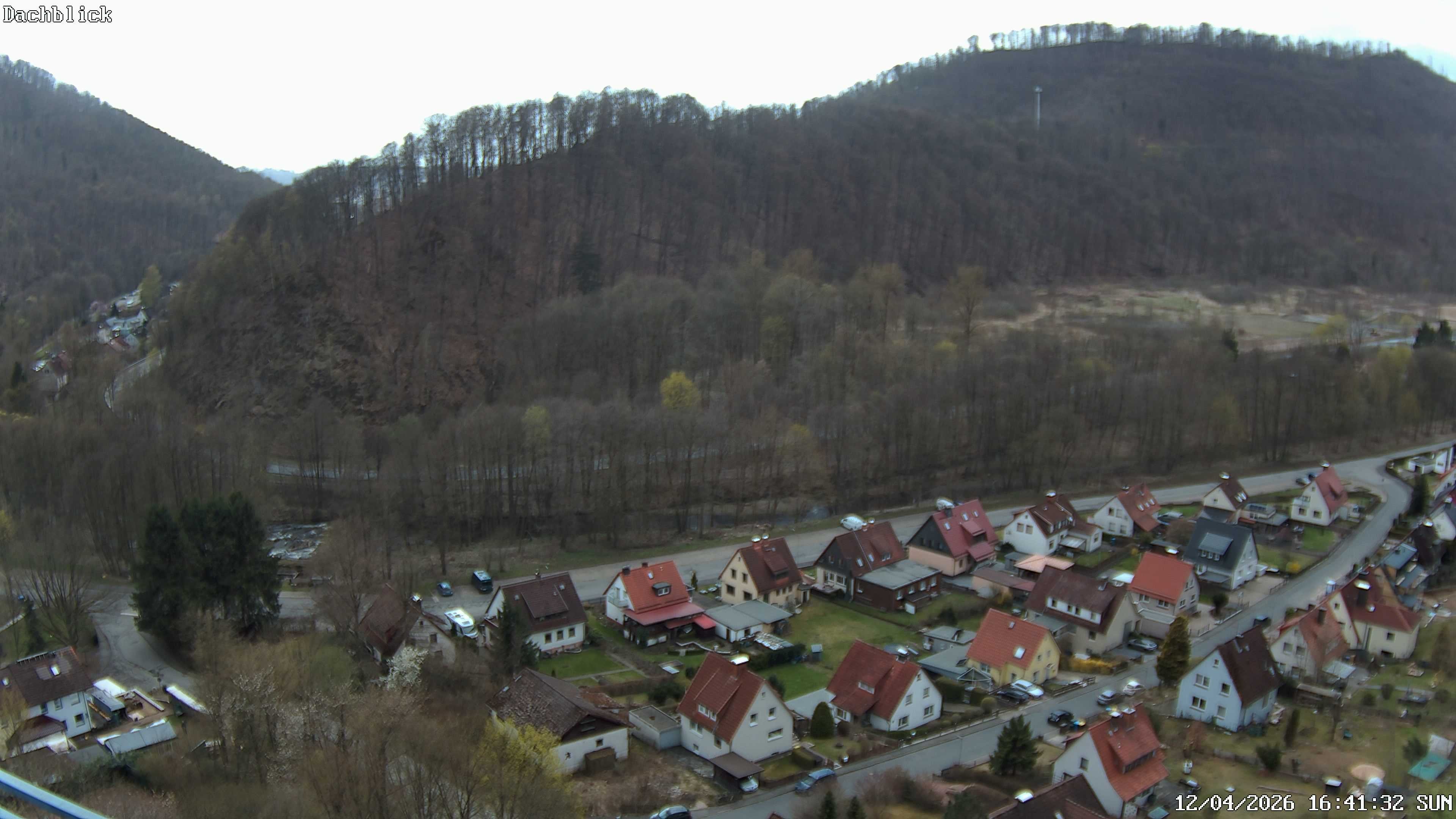 Archiv Foto Webcam Bad Lauterberg: Panoramic Hotel Harz