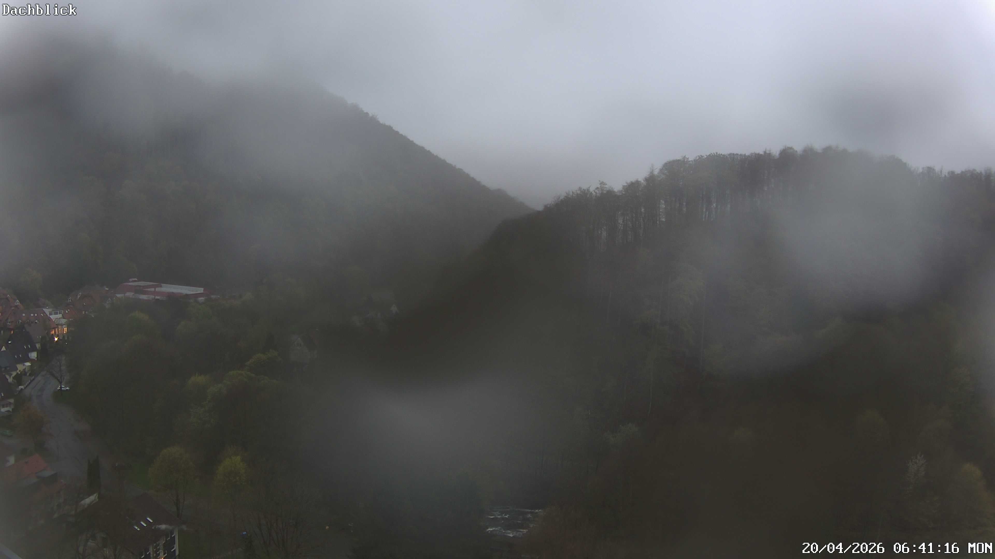 Archiv Foto Webcam Bad Lauterberg: Panoramic Hotel Harz