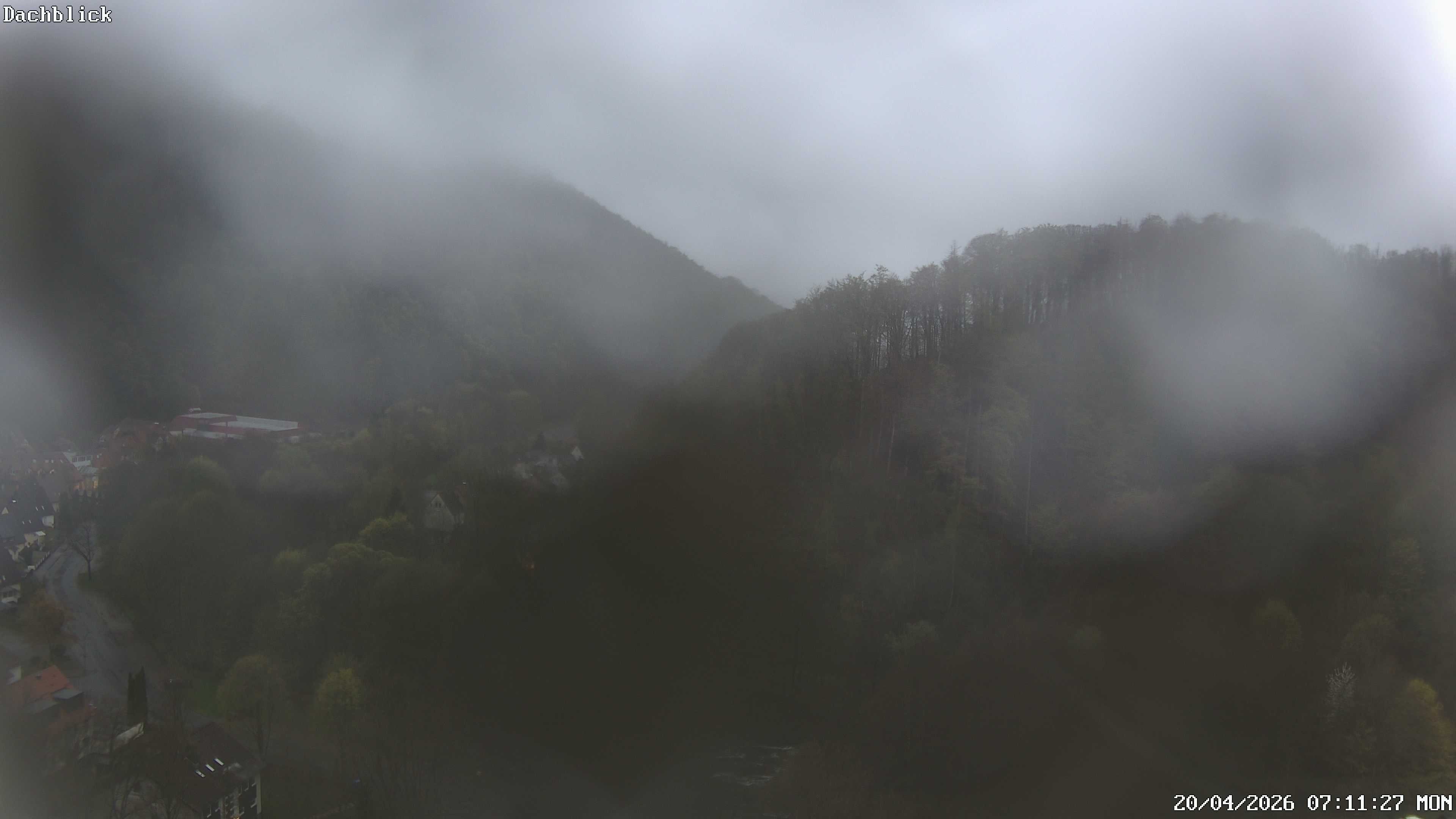 Archiv Foto Webcam Bad Lauterberg: Panoramic Hotel Harz