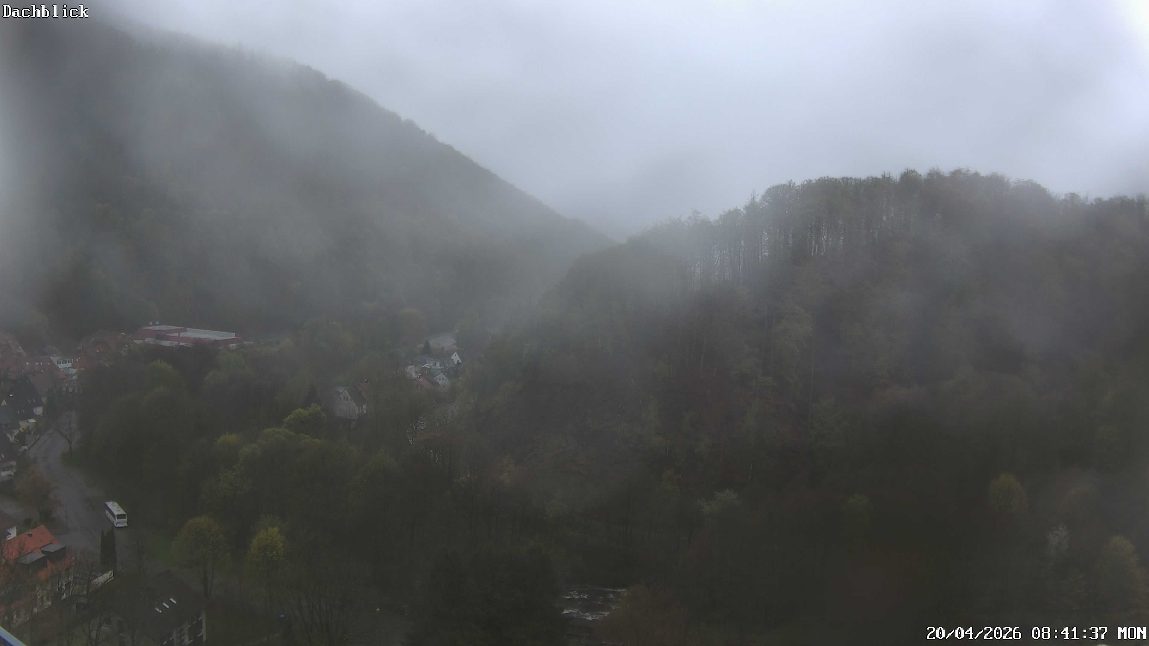 Archiv Foto Webcam Bad Lauterberg: Panoramic Hotel Harz
