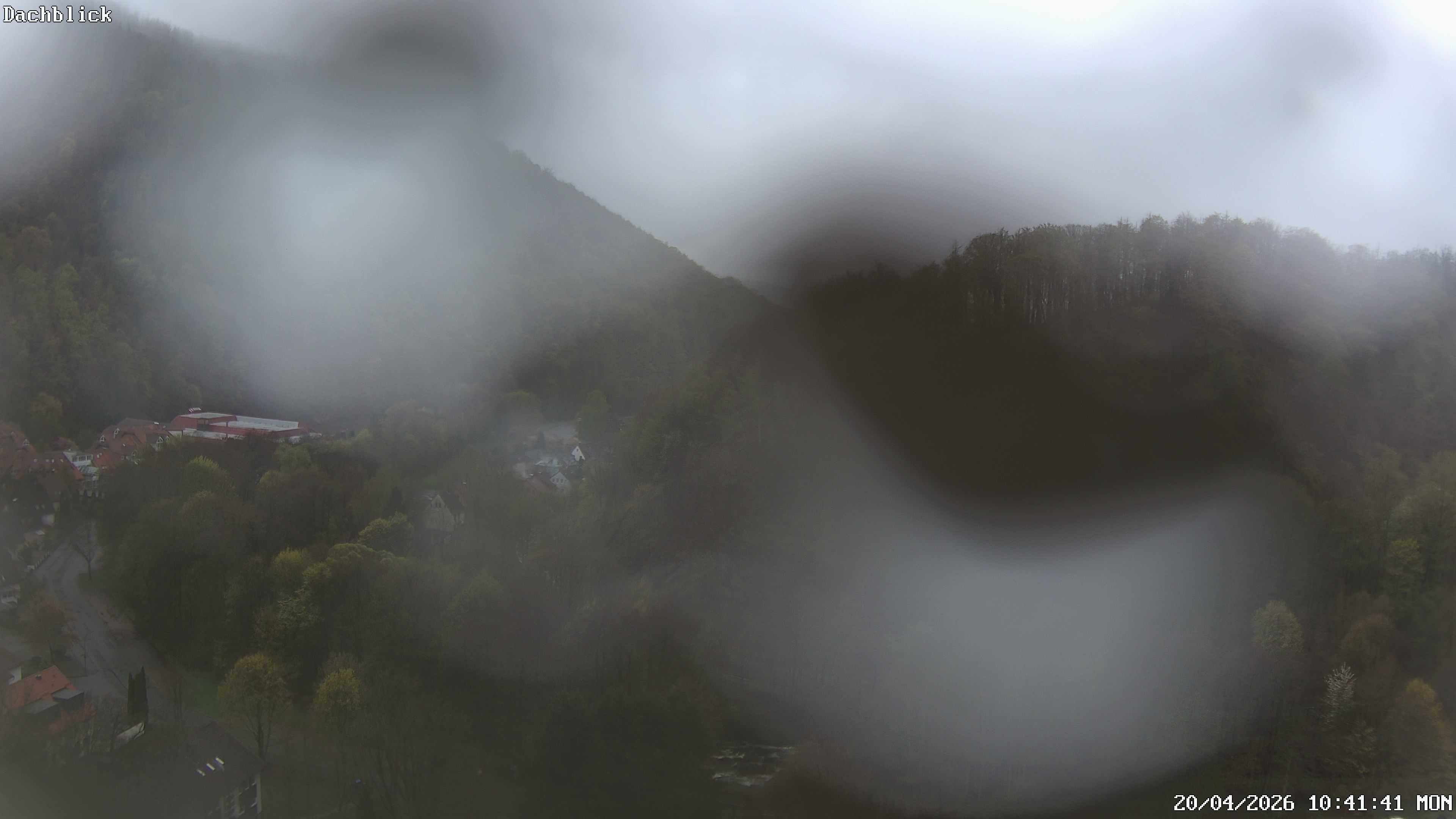 Archiv Foto Webcam Bad Lauterberg: Panoramic Hotel Harz