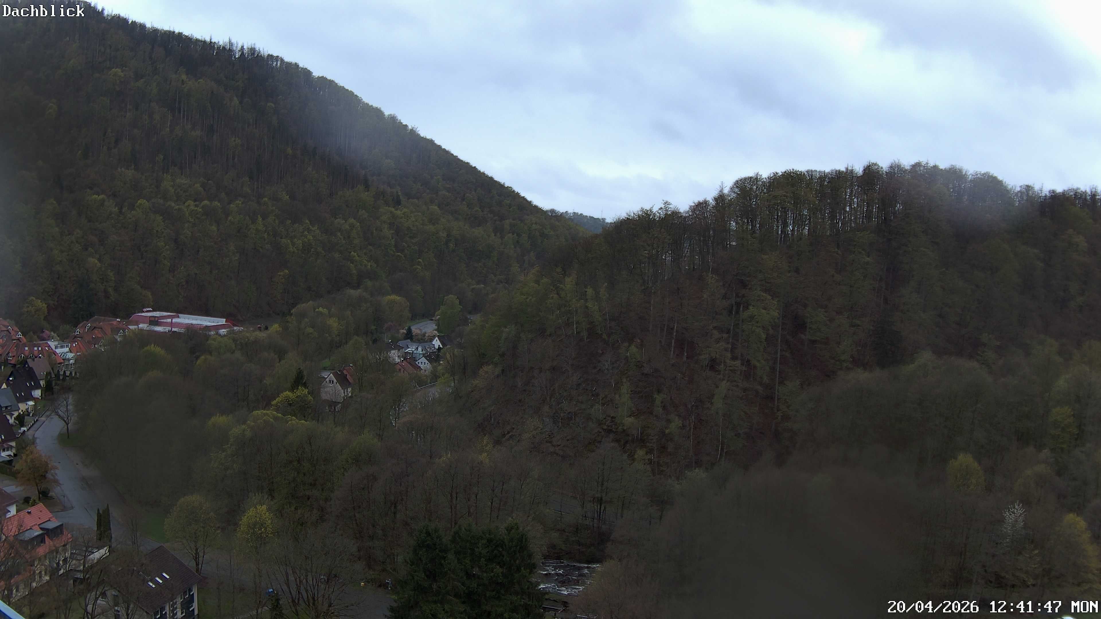 Archiv Foto Webcam Bad Lauterberg: Panoramic Hotel Harz