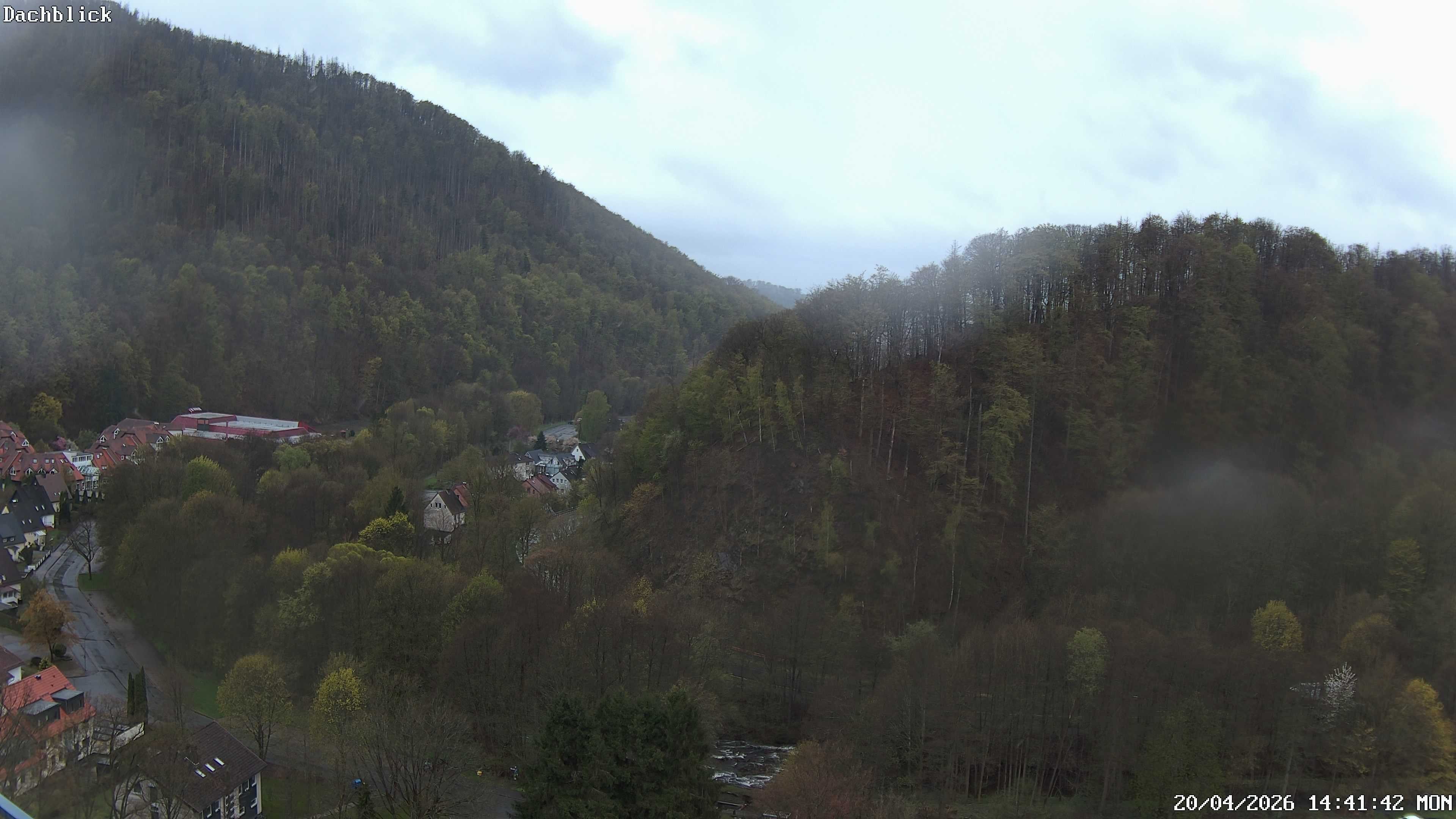 Archiv Foto Webcam Bad Lauterberg: Panoramic Hotel Harz