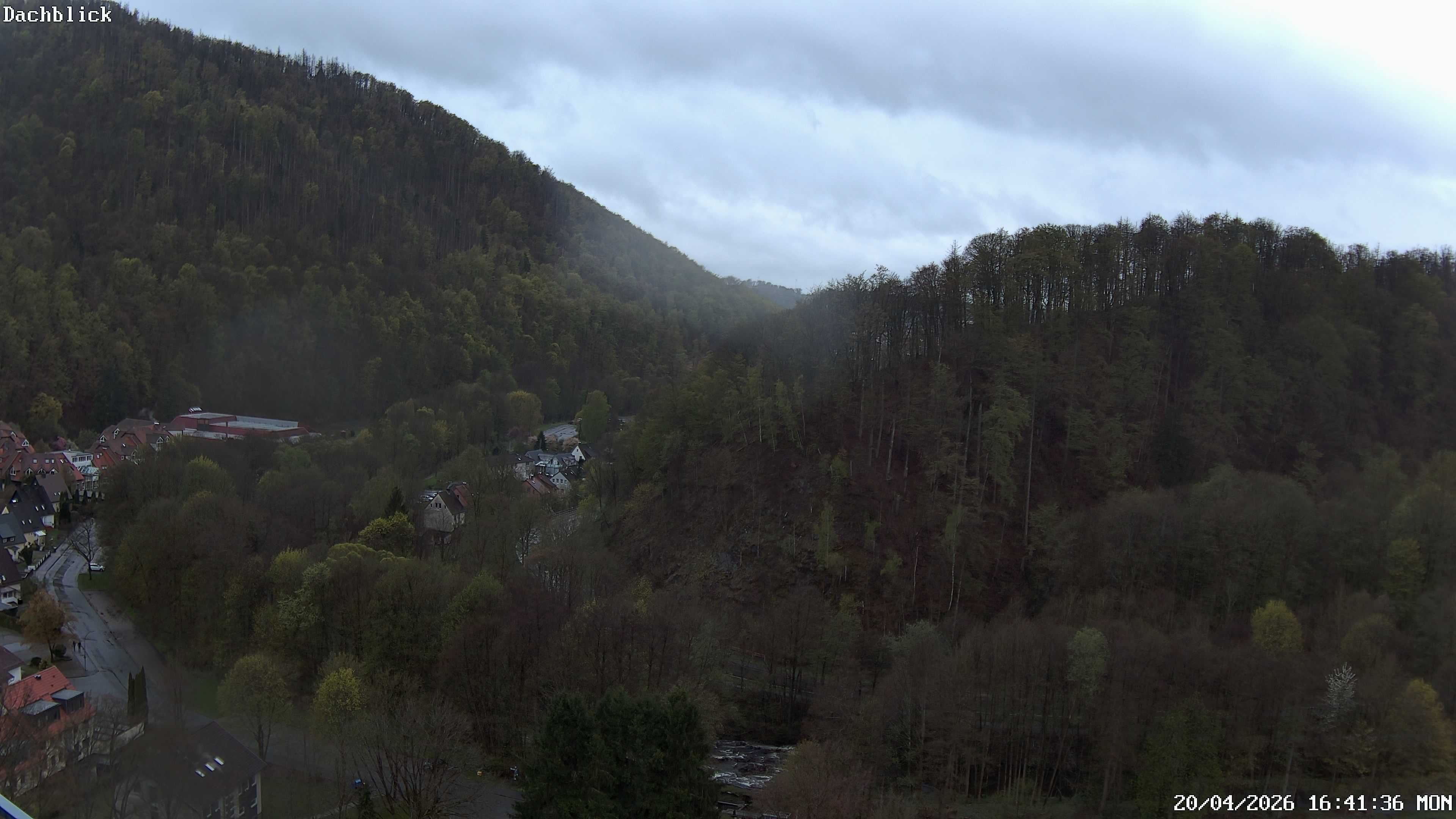 Archiv Foto Webcam Bad Lauterberg: Panoramic Hotel Harz