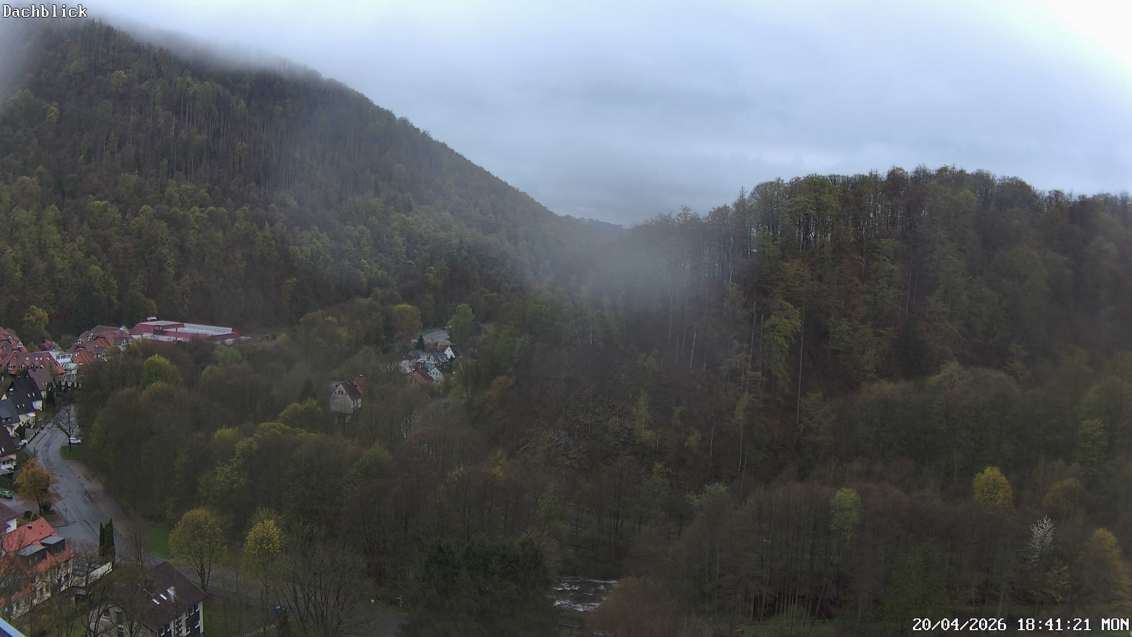 Archiv Foto Webcam Bad Lauterberg: Panoramic Hotel Harz