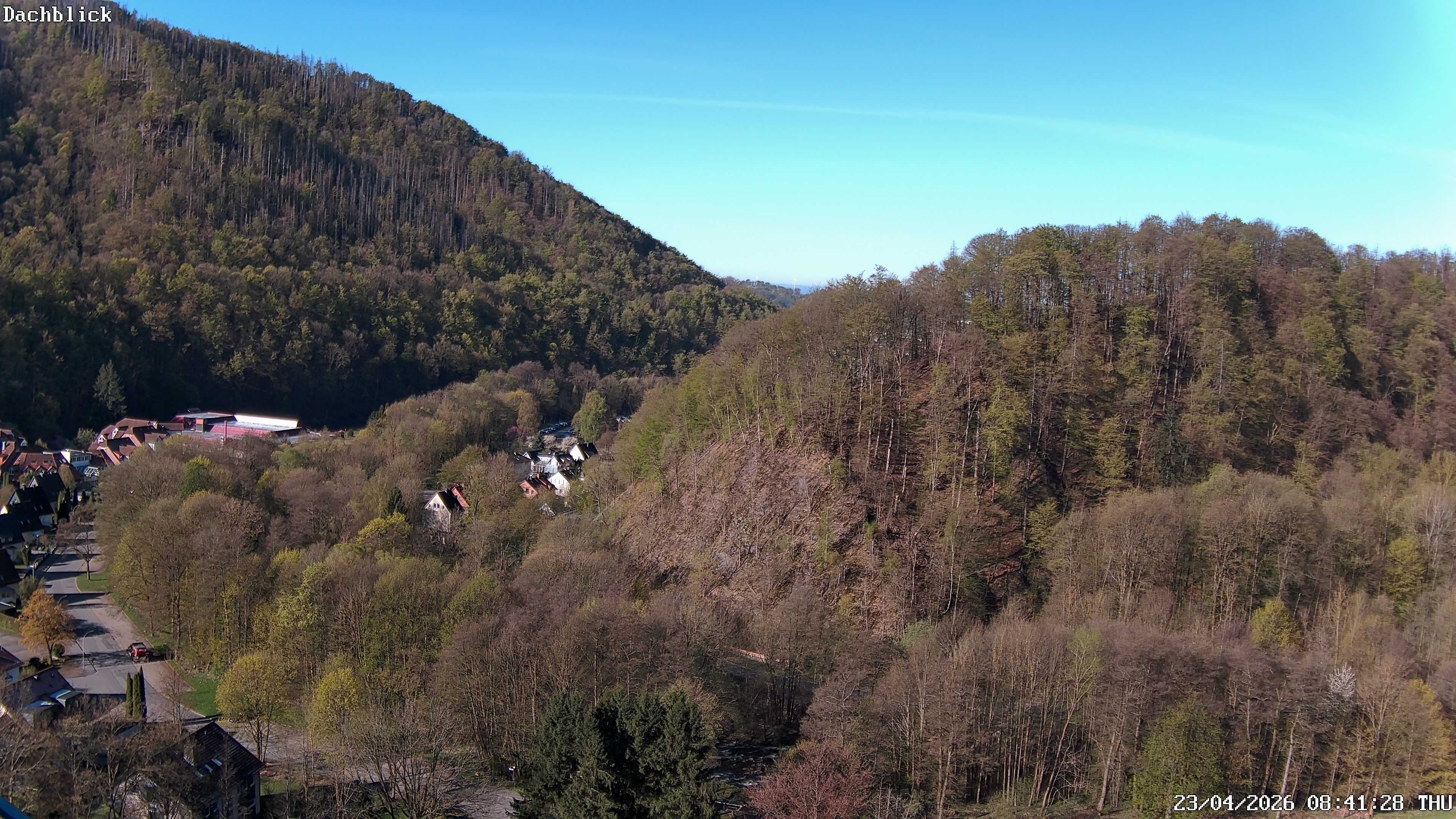 Archiv Foto Webcam Bad Lauterberg: Panoramic Hotel Harz