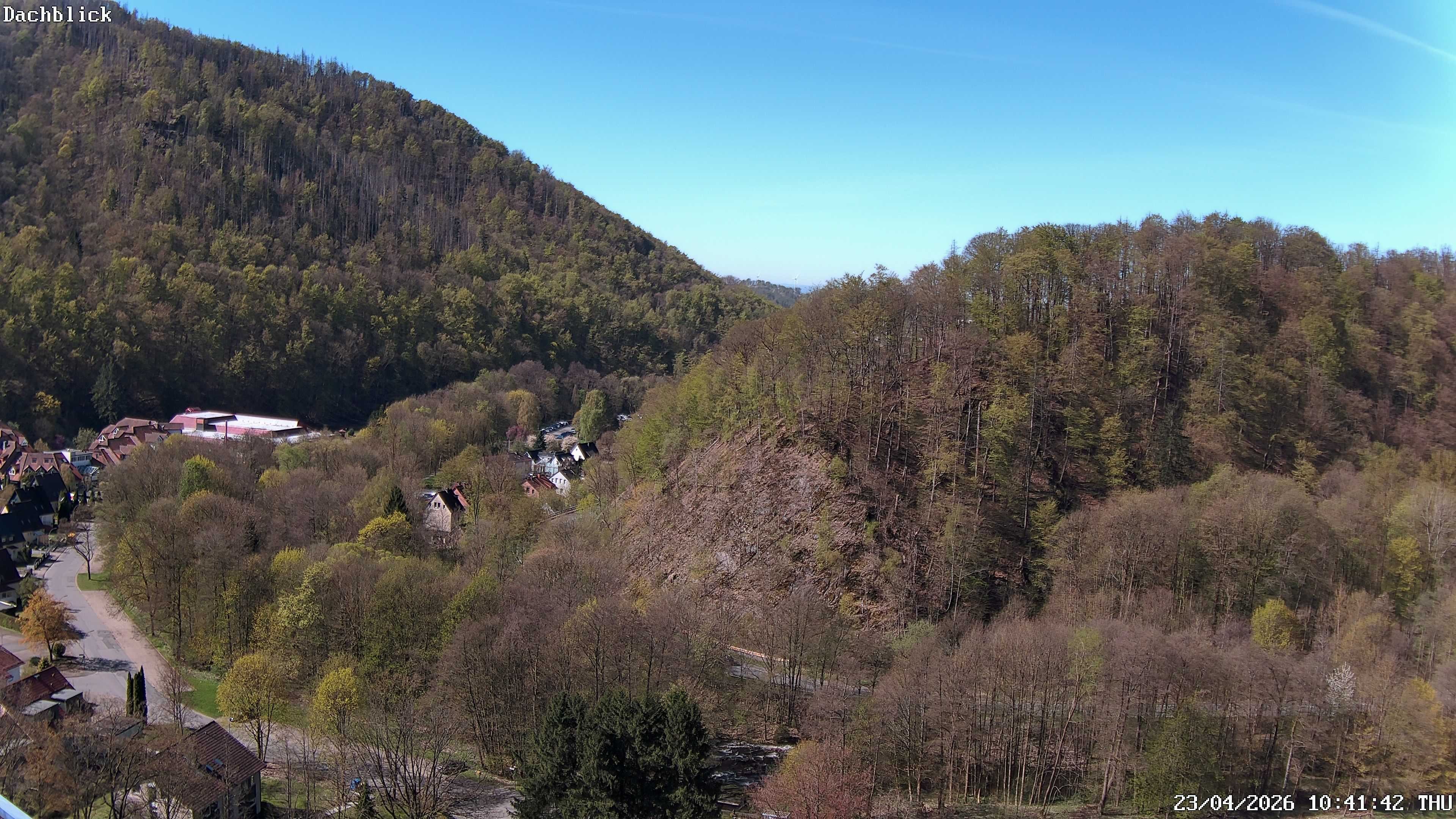 Archiv Foto Webcam Bad Lauterberg: Panoramic Hotel Harz