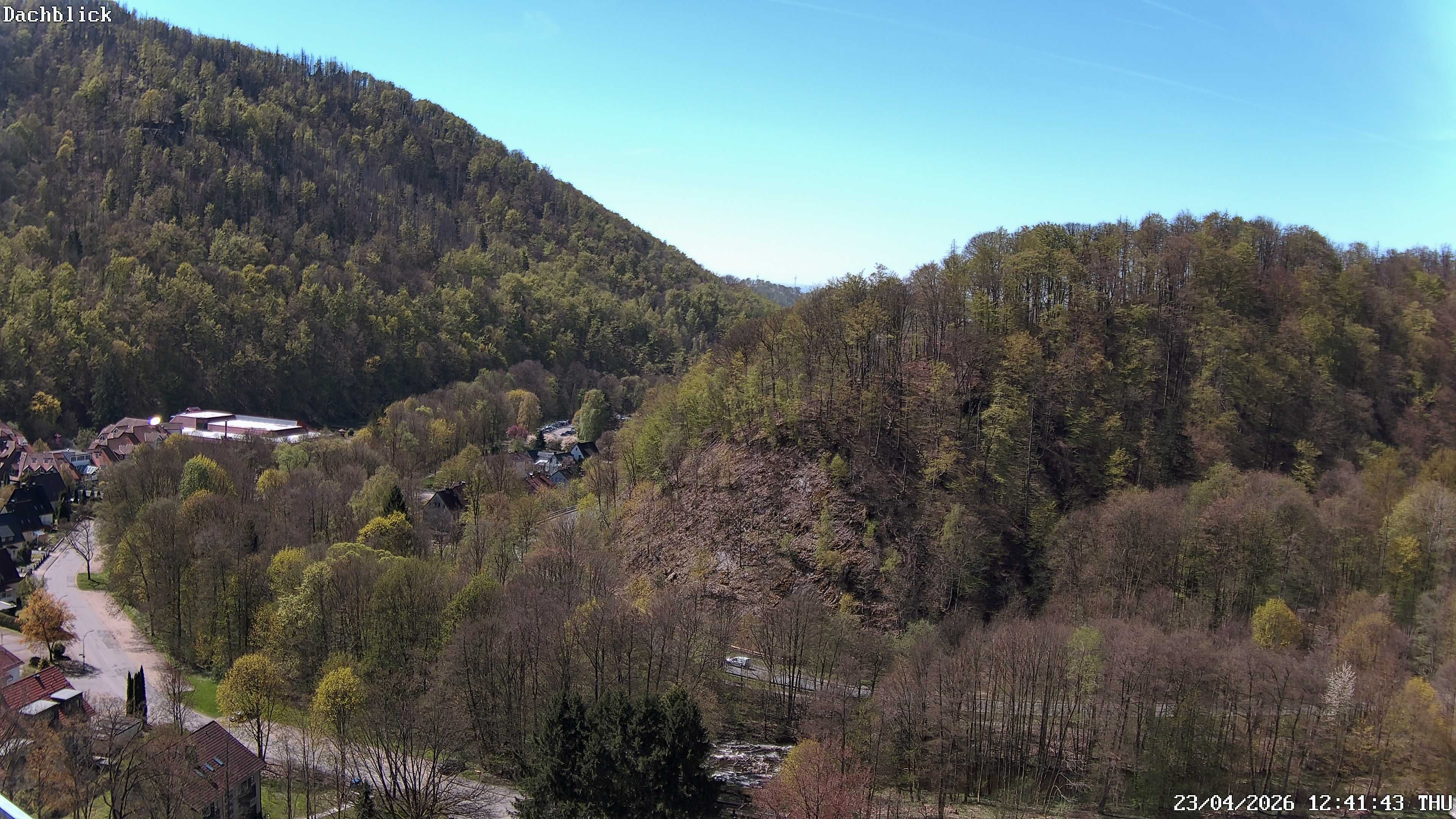 Archiv Foto Webcam Bad Lauterberg: Panoramic Hotel Harz