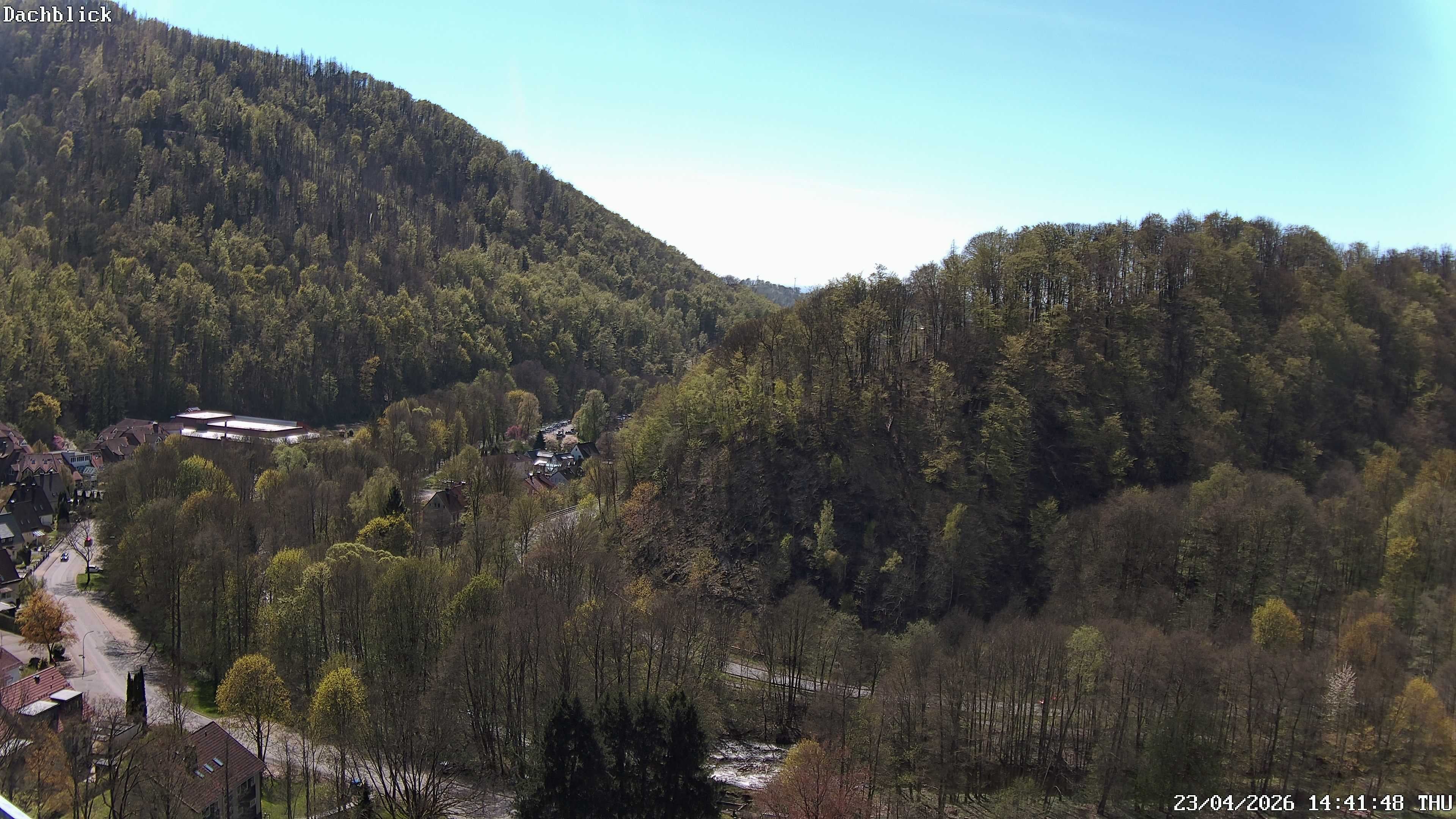 Archiv Foto Webcam Bad Lauterberg: Panoramic Hotel Harz
