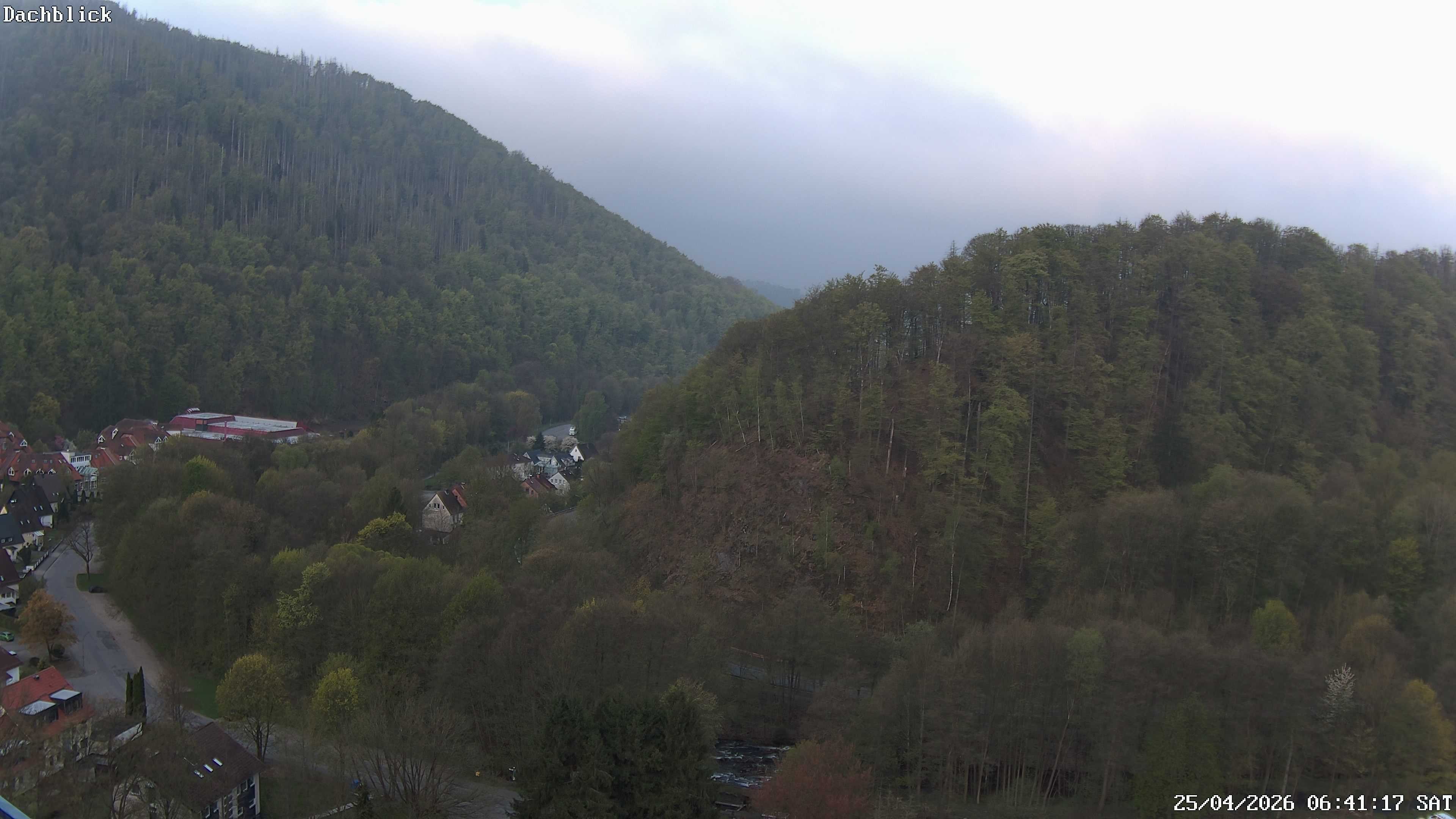 Archiv Foto Webcam Bad Lauterberg: Panoramic Hotel Harz