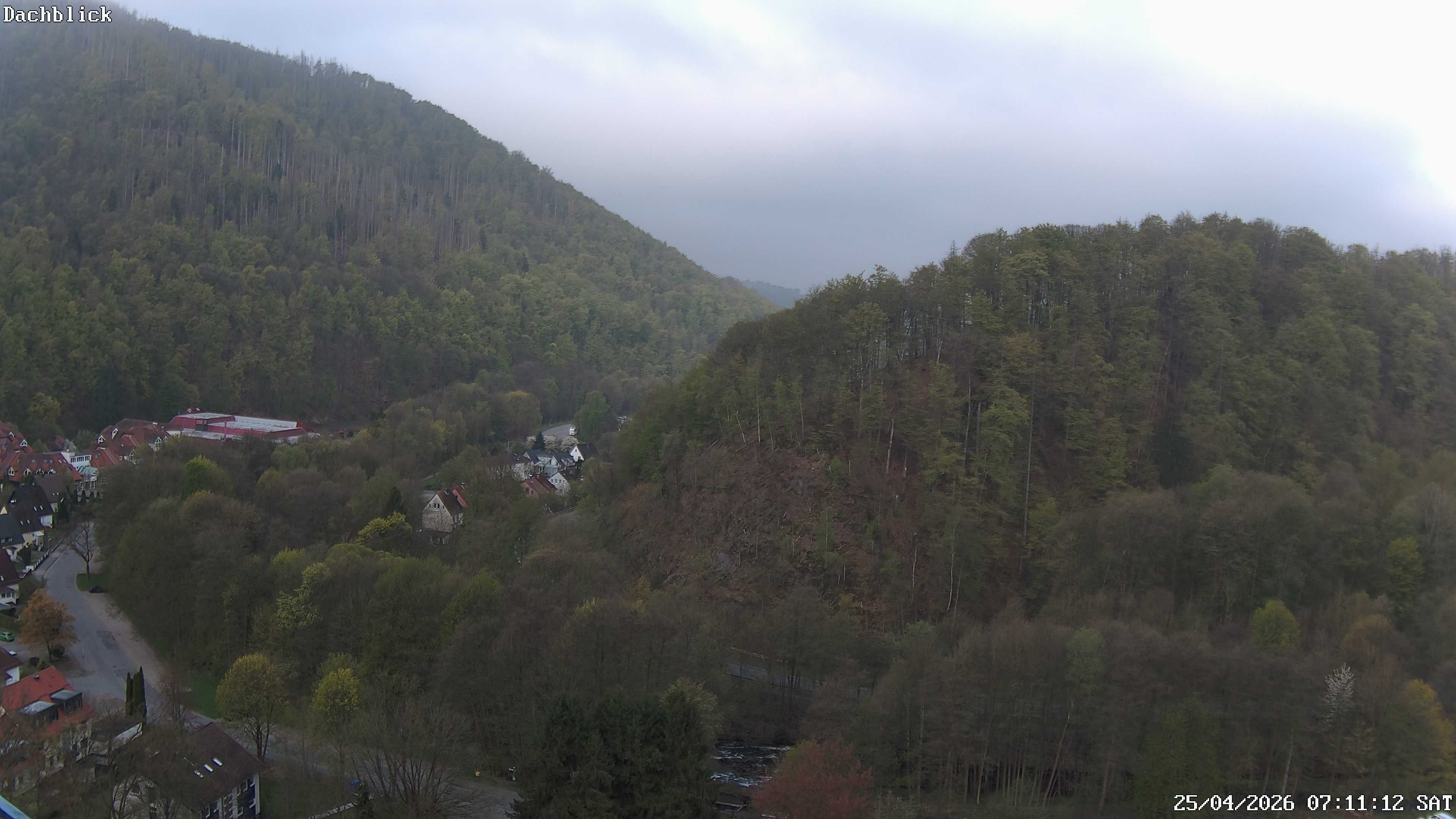 Archiv Foto Webcam Bad Lauterberg: Panoramic Hotel Harz