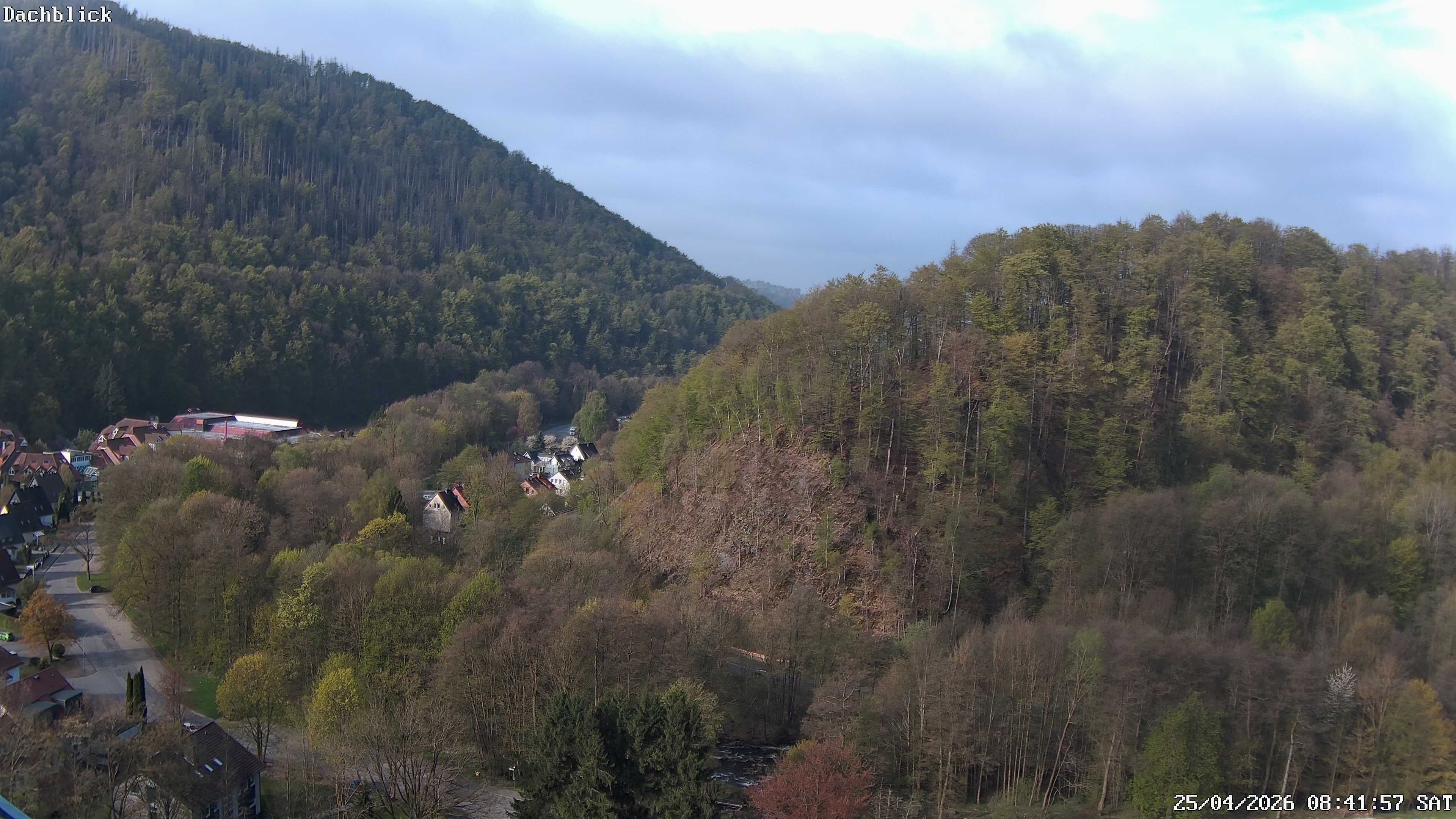 Archiv Foto Webcam Bad Lauterberg: Panoramic Hotel Harz