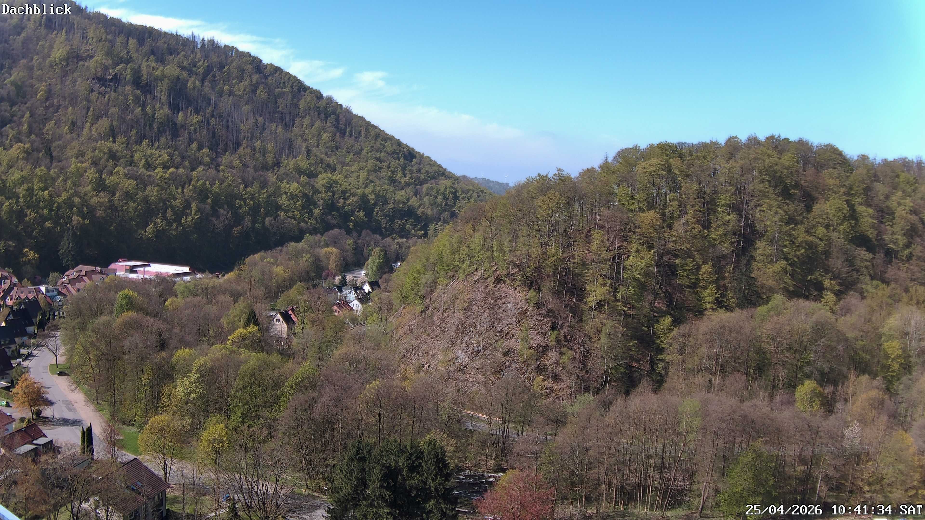 Archiv Foto Webcam Bad Lauterberg: Panoramic Hotel Harz